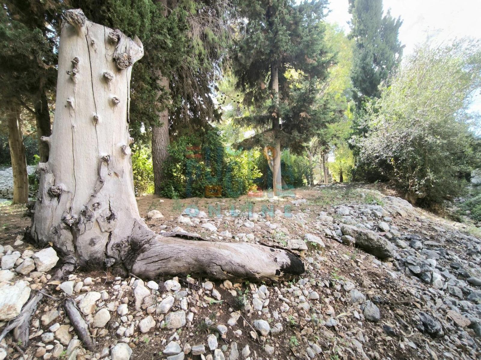 Villa photo 3