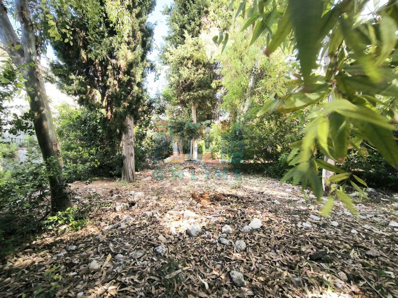 Villa photo 2