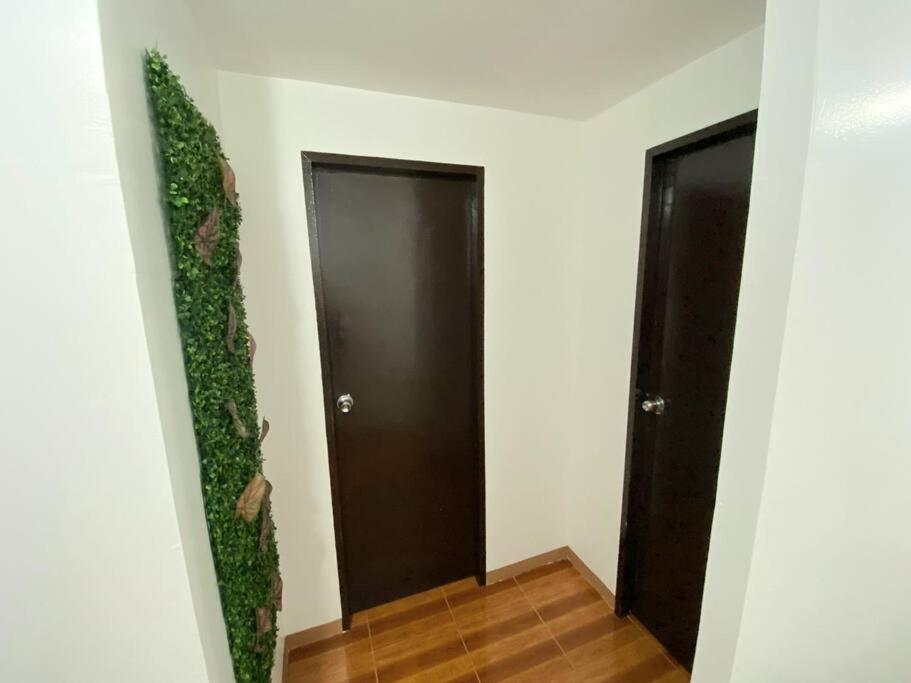 Two-Bedroom Apartment photo 3