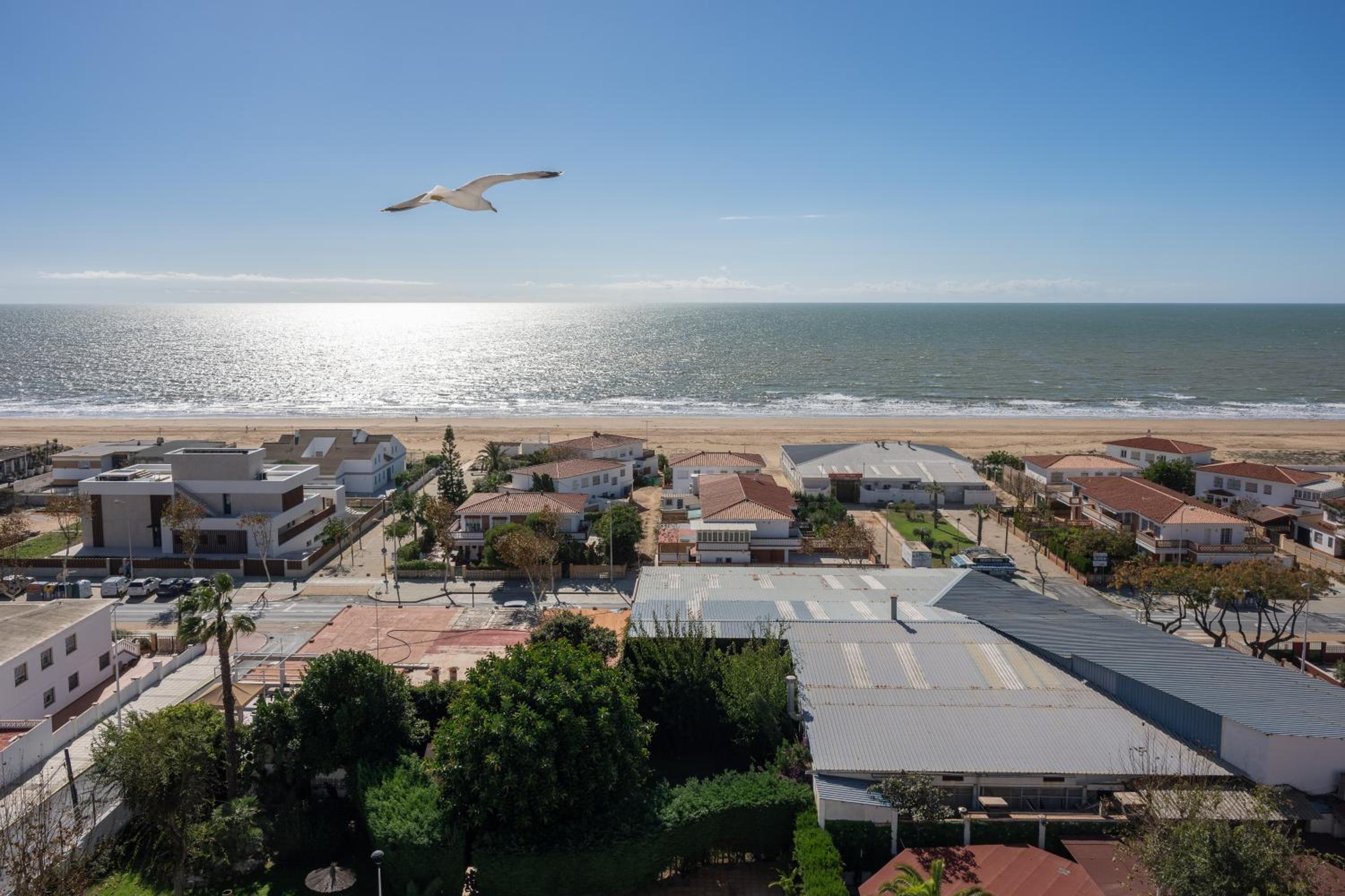 Junior Suite with Sea View photo 3