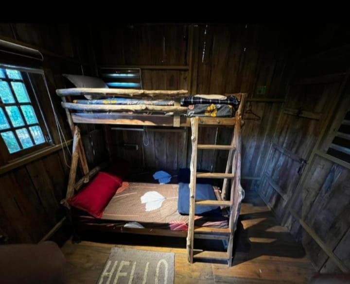 Standard Twin Room photo 1