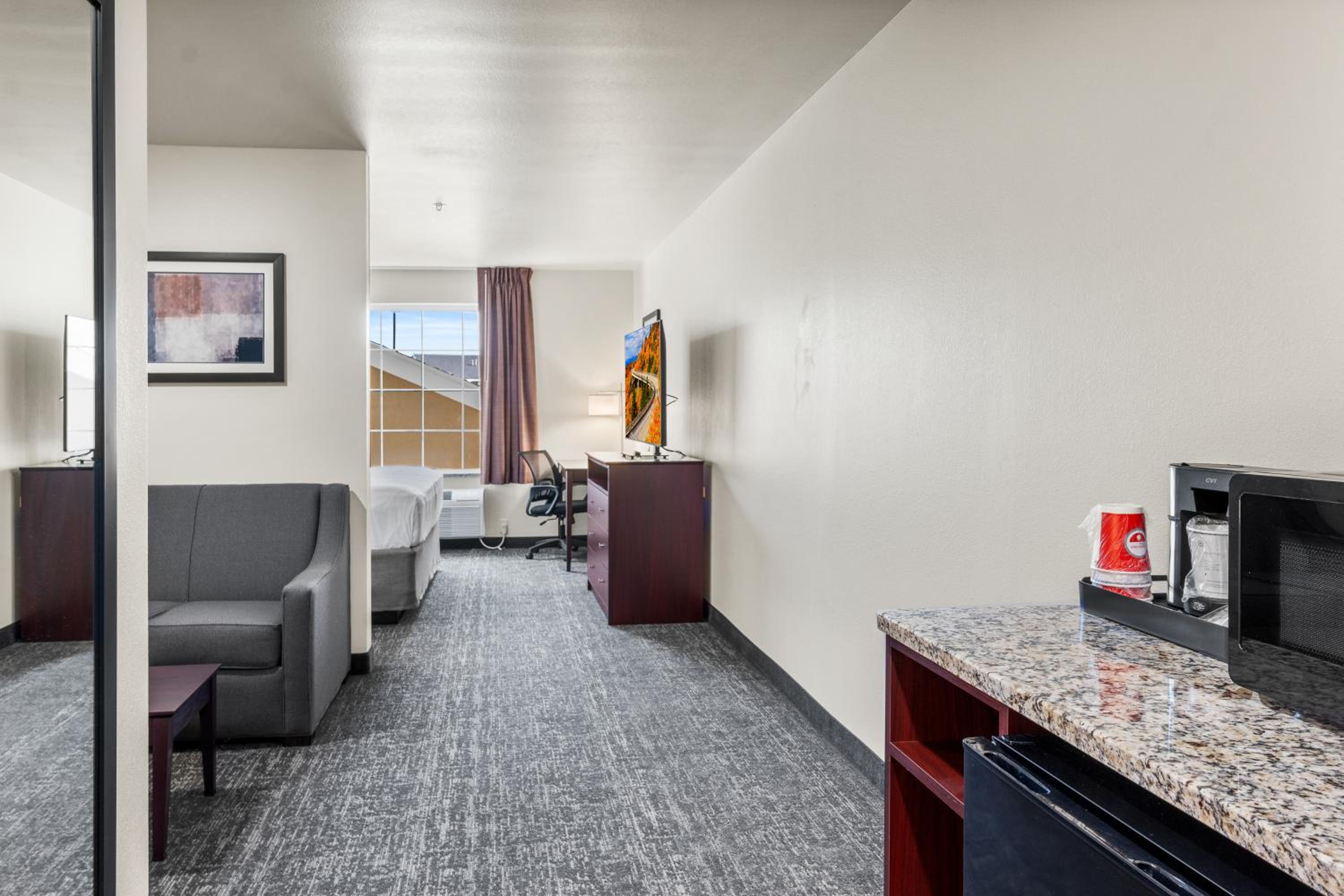 Suite - Photo 1