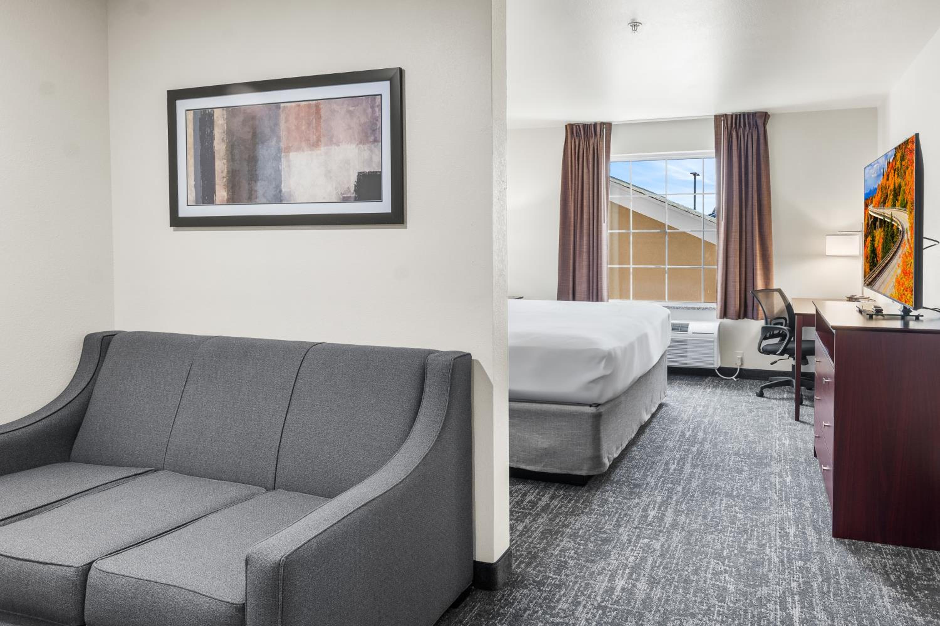 Suite - Photo 3