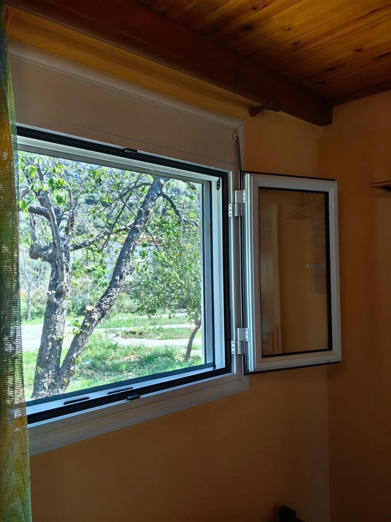Two-Bedroom House photo 2