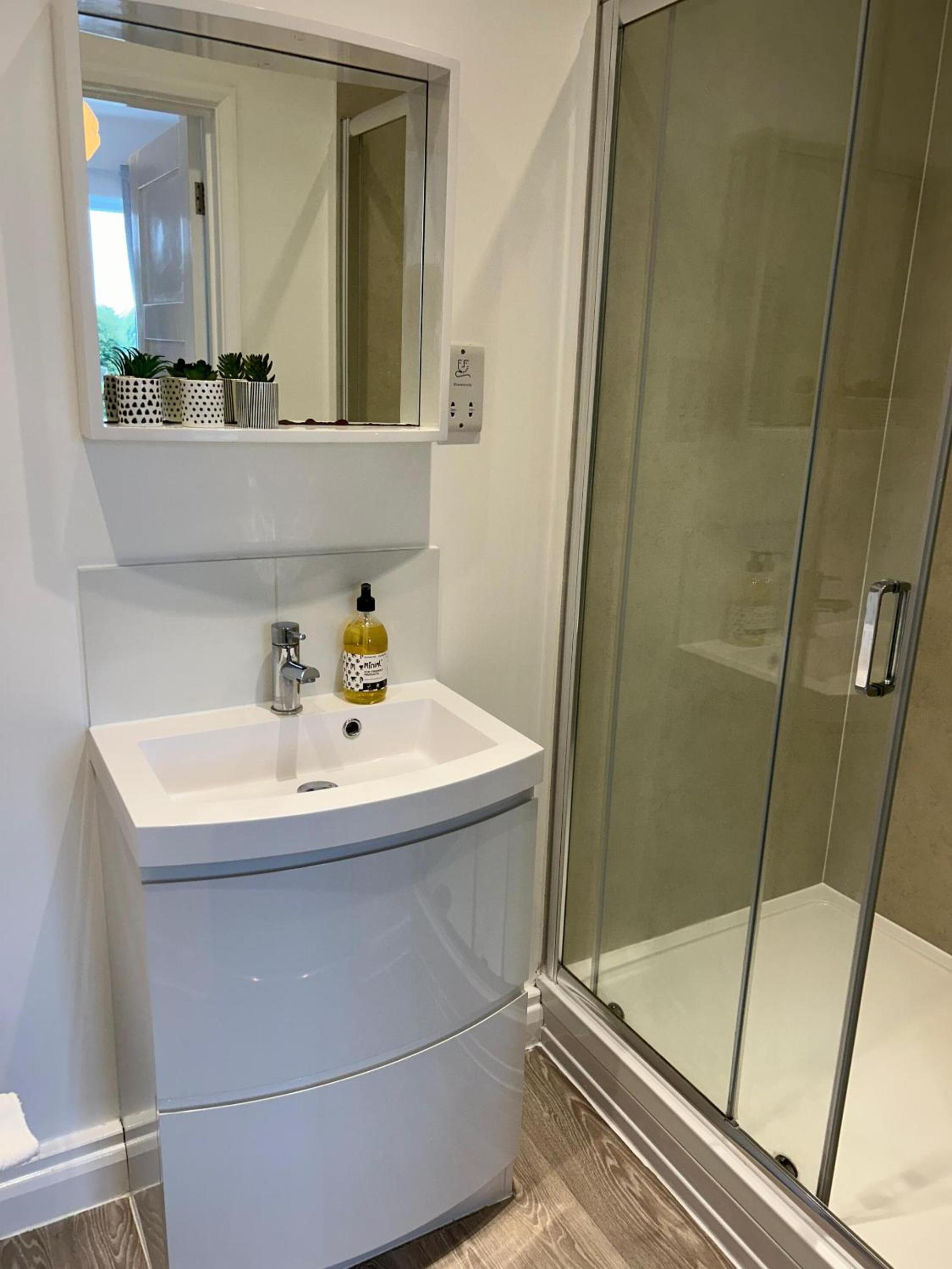 Apartment with Shower photo 3
