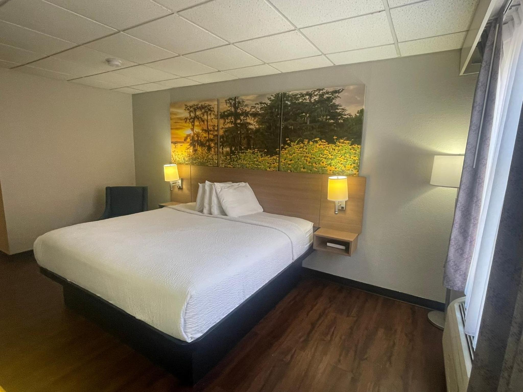 Deluxe King Room - Non-Smoking - Photo 1