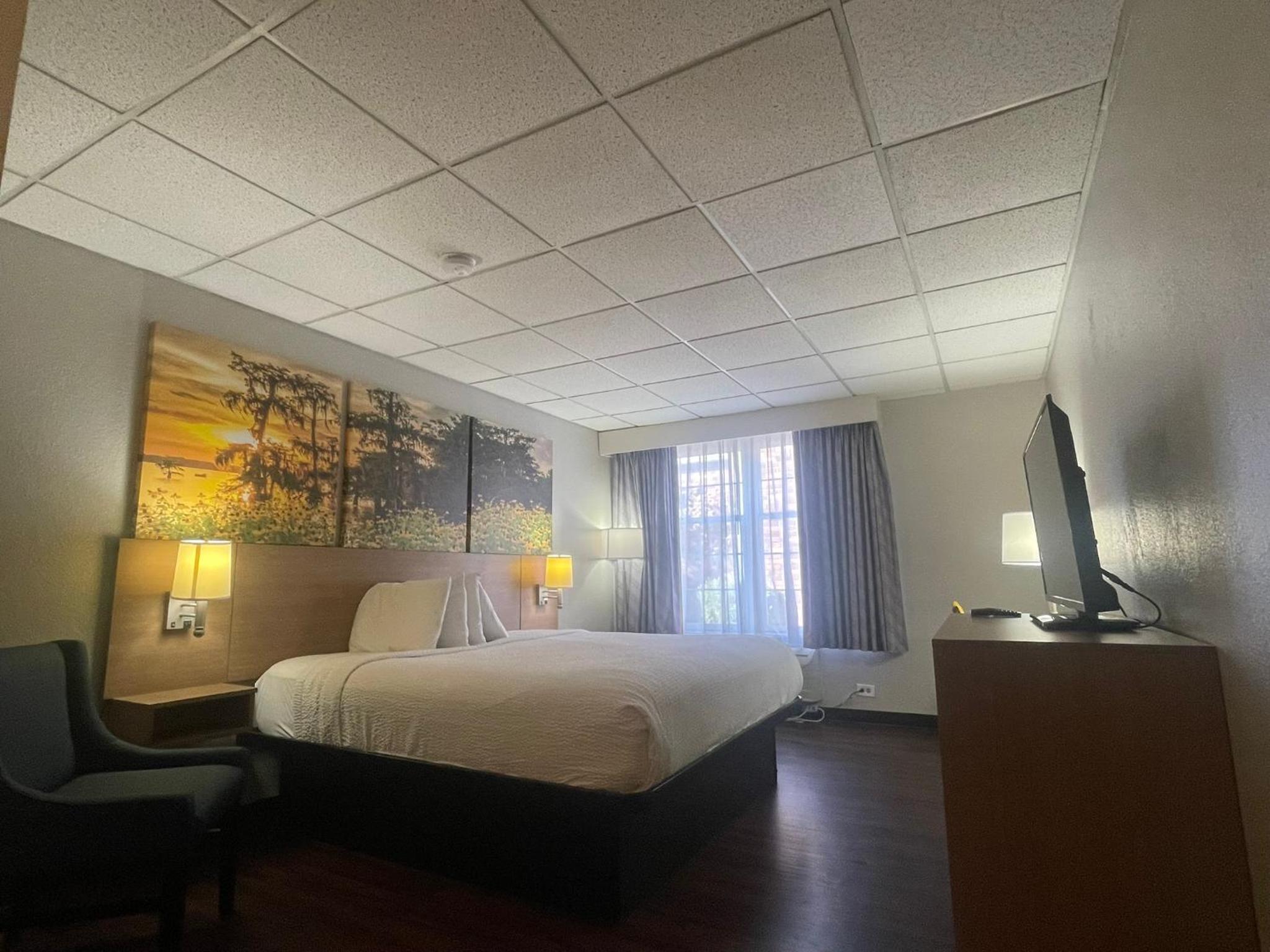 Deluxe King Room - Non-Smoking - Photo 2