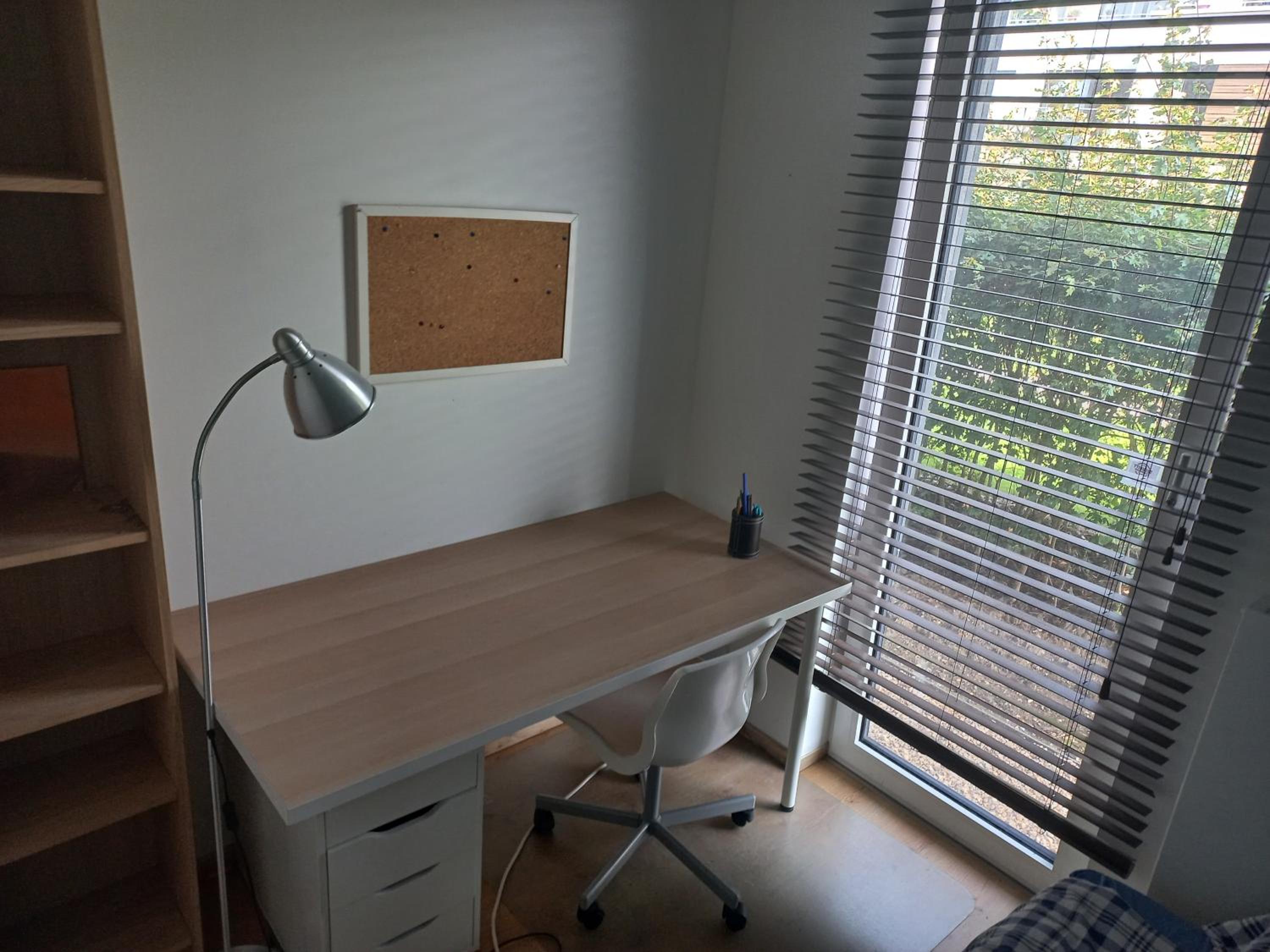 Single Room photo 1