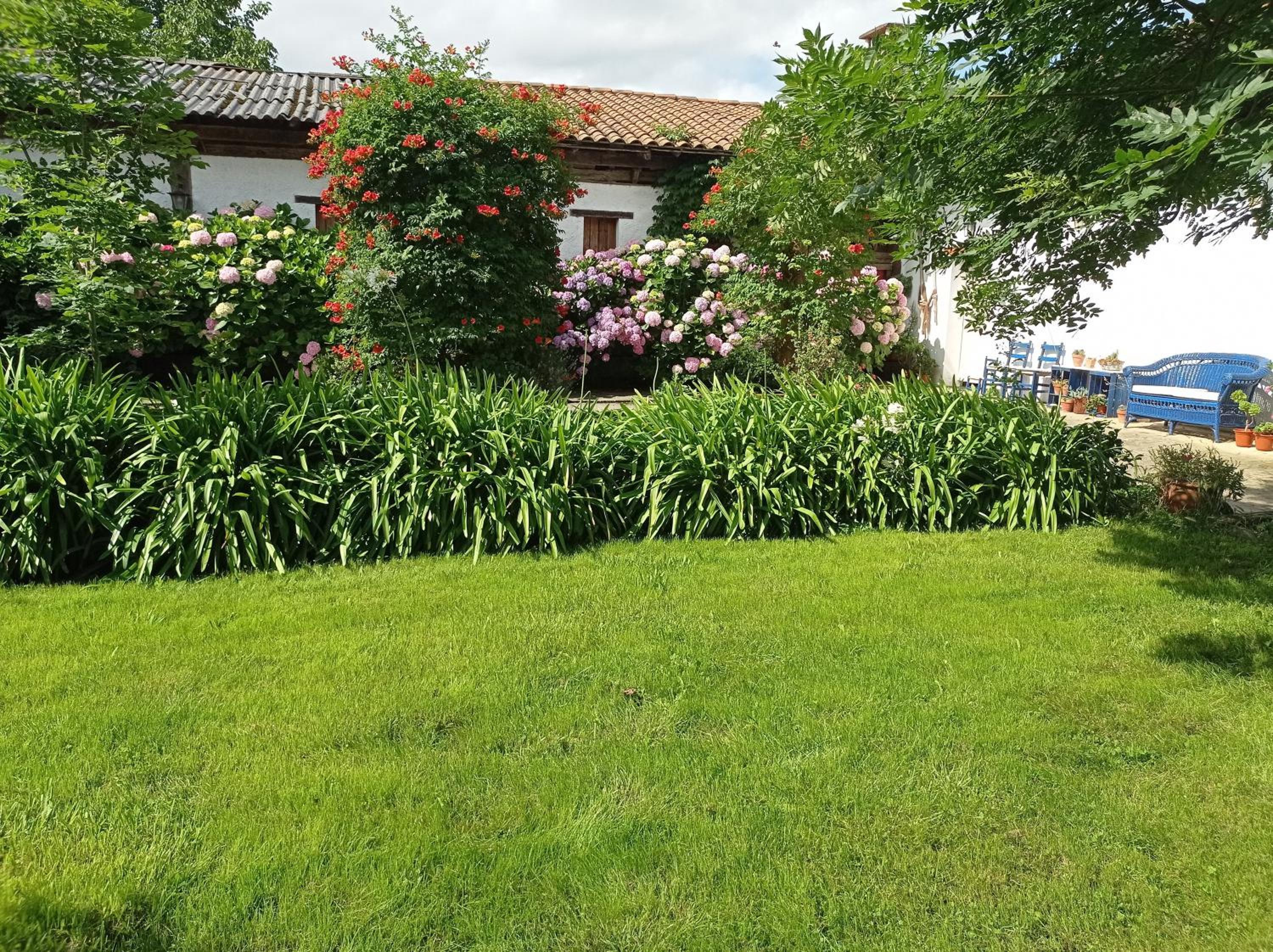 Superior Apartment with Balcony photo 3