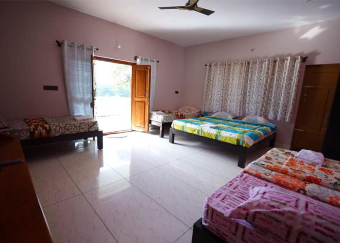 6-Bed Mixed Dormitory Room photo 1