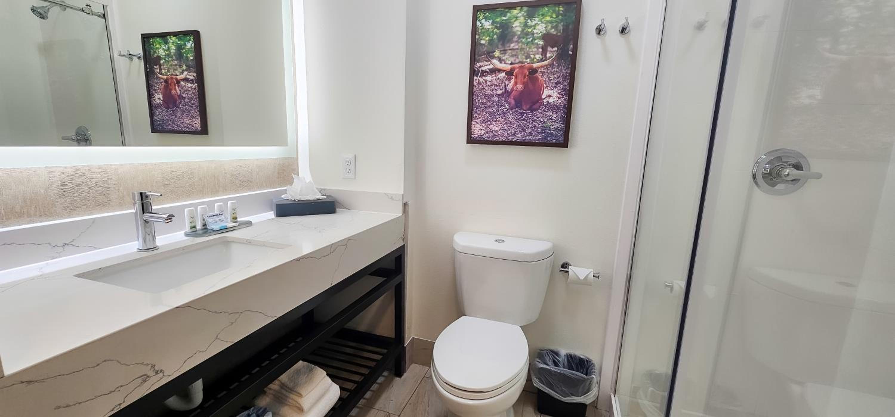 King Suite photo 3