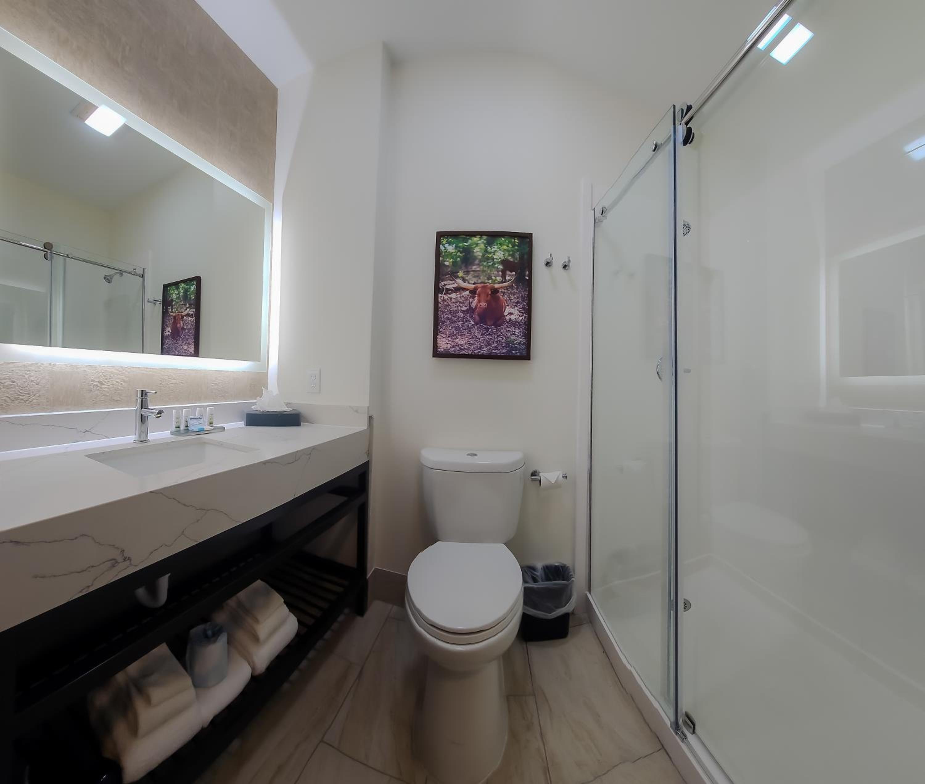 King Room photo 2