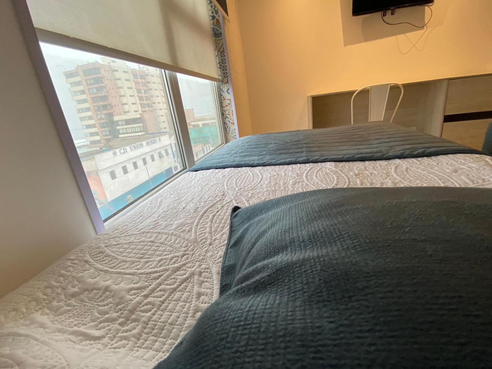 Twin Room photo 2