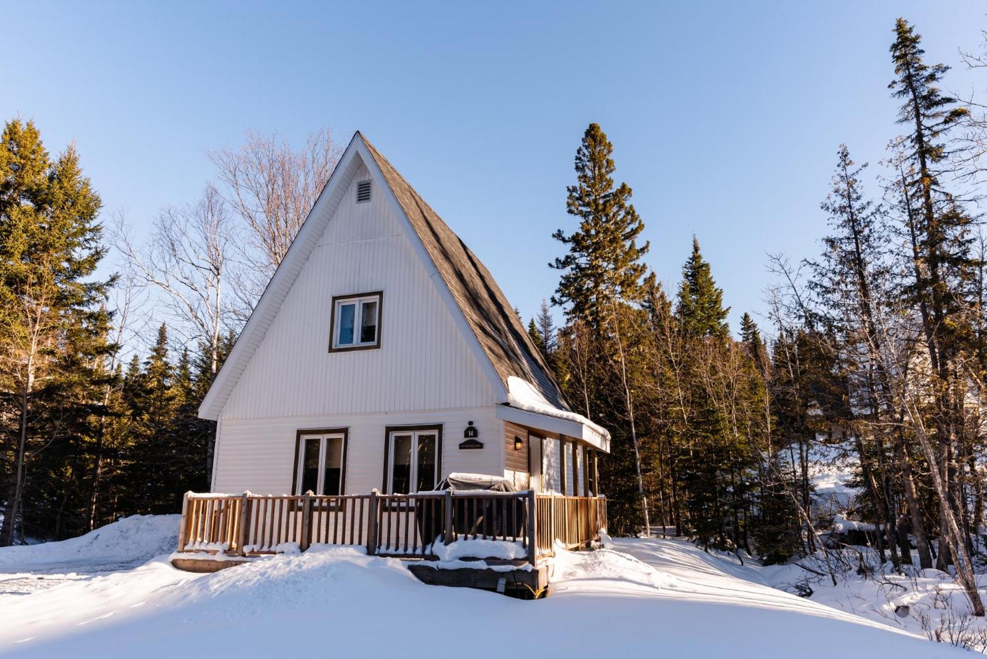 Chalet (8 Adults), Mountain View photo 3