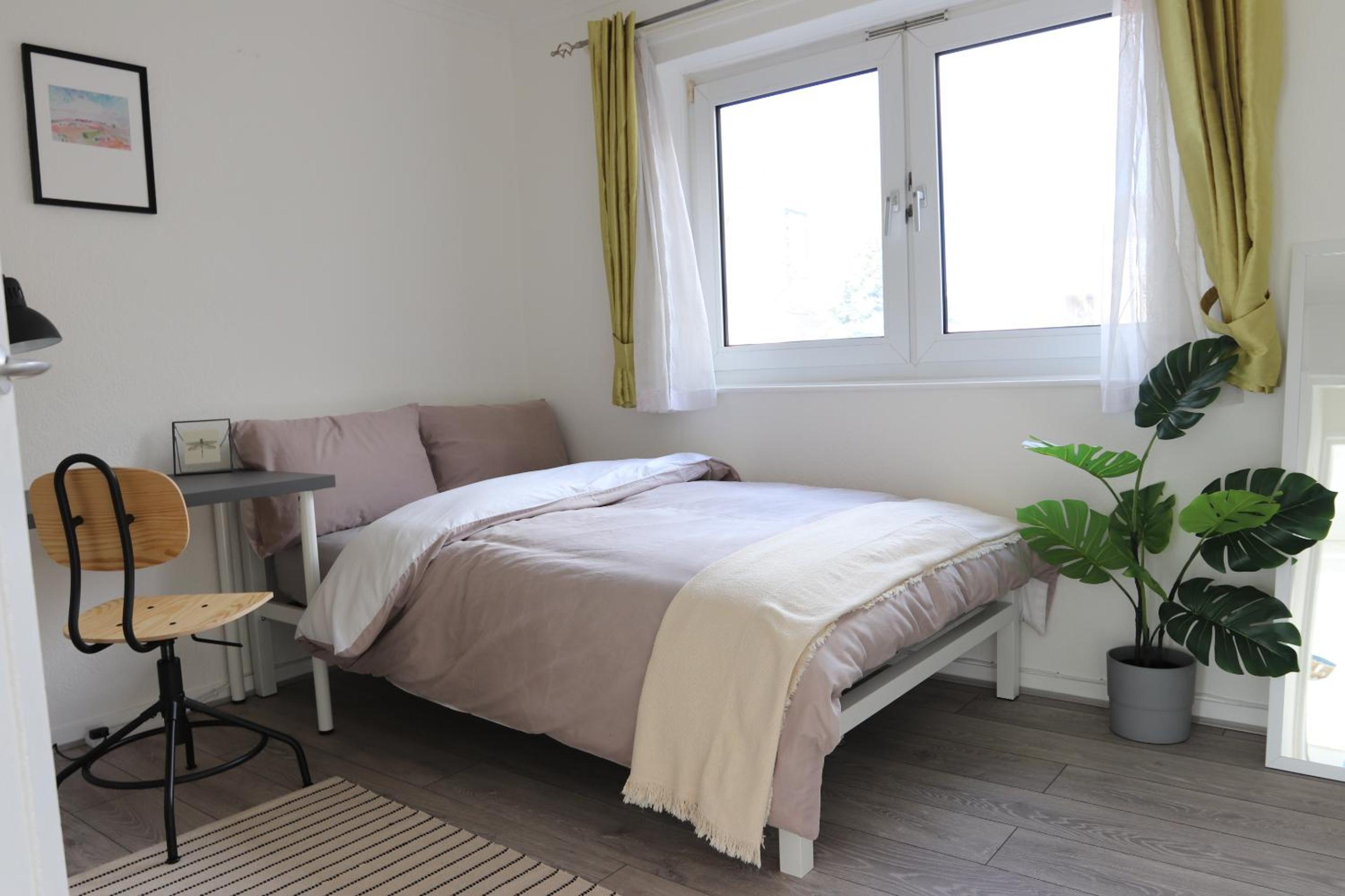 Deluxe Double Room photo 1