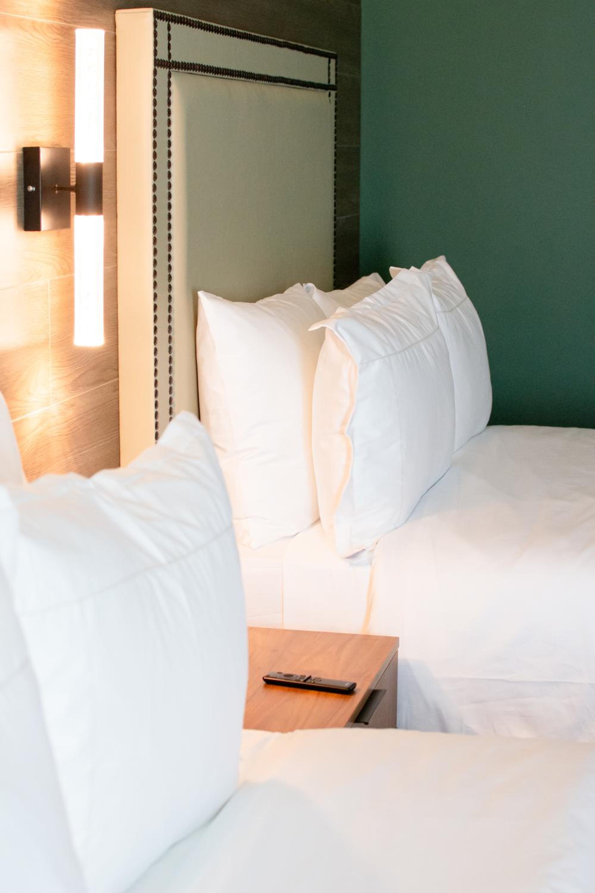 Standard Double Suite photo 2