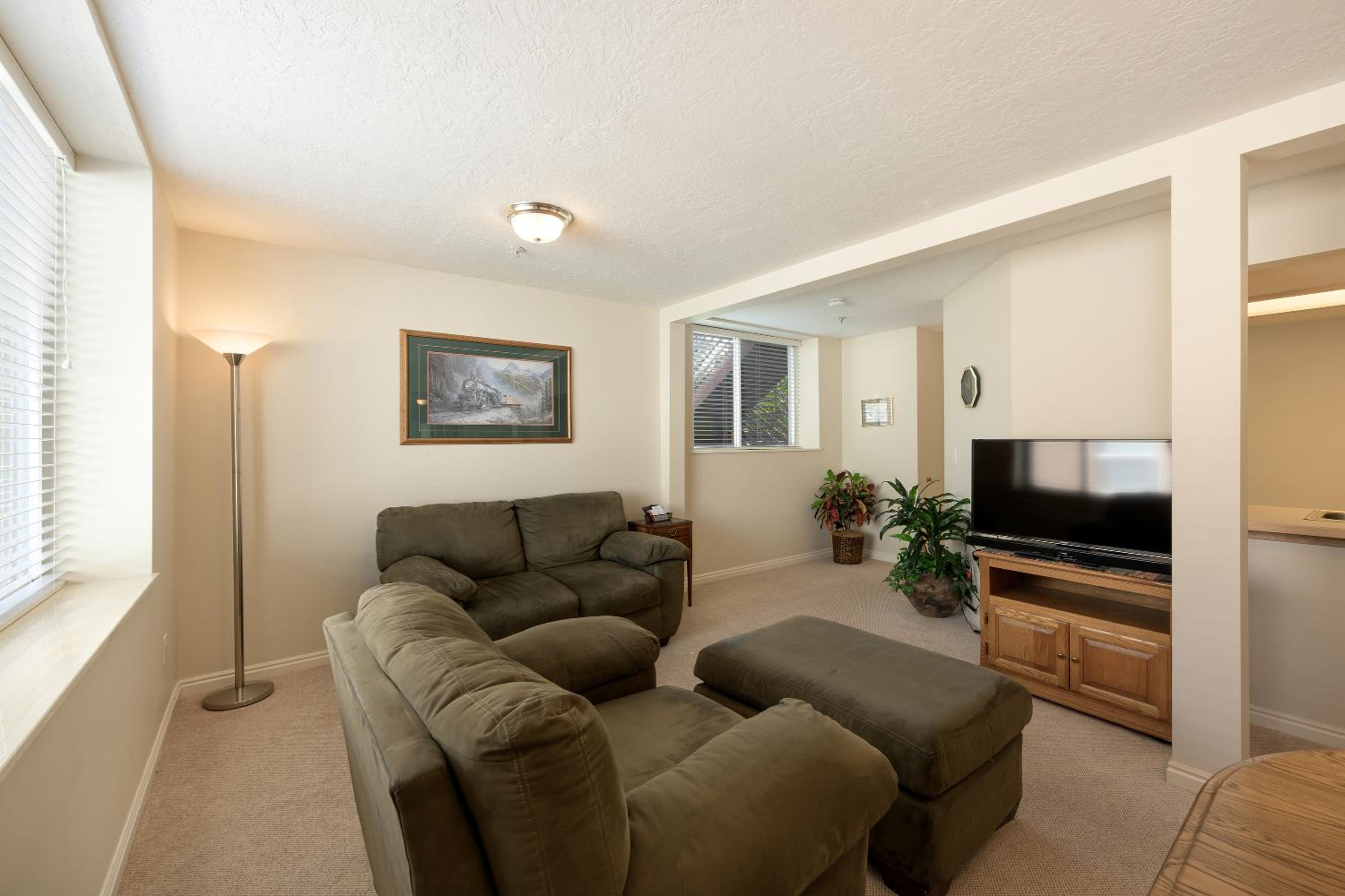 Deluxe One-Bedroom Apartment photo 3