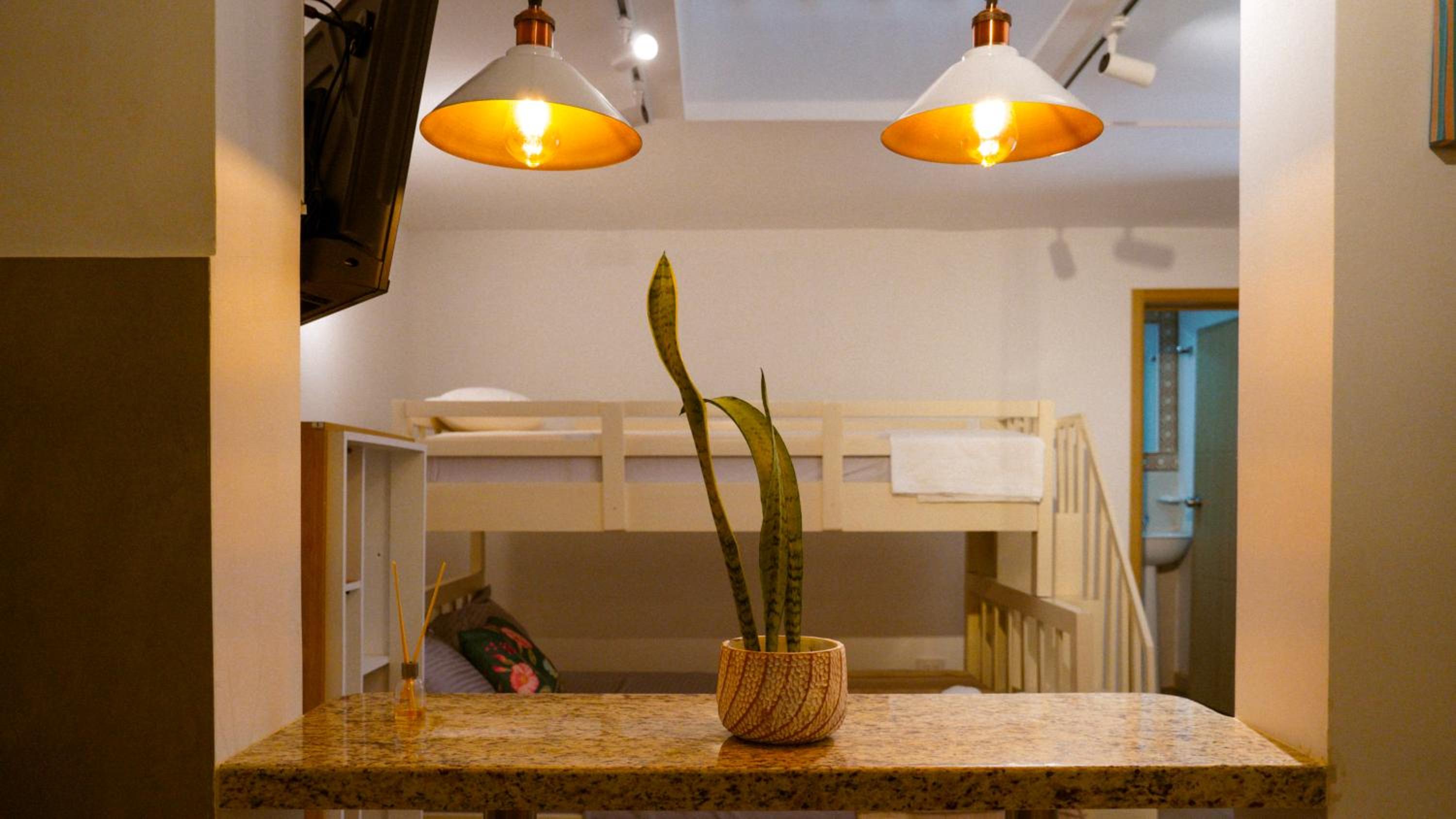 One-bedroom Loft Apartment  photo 3