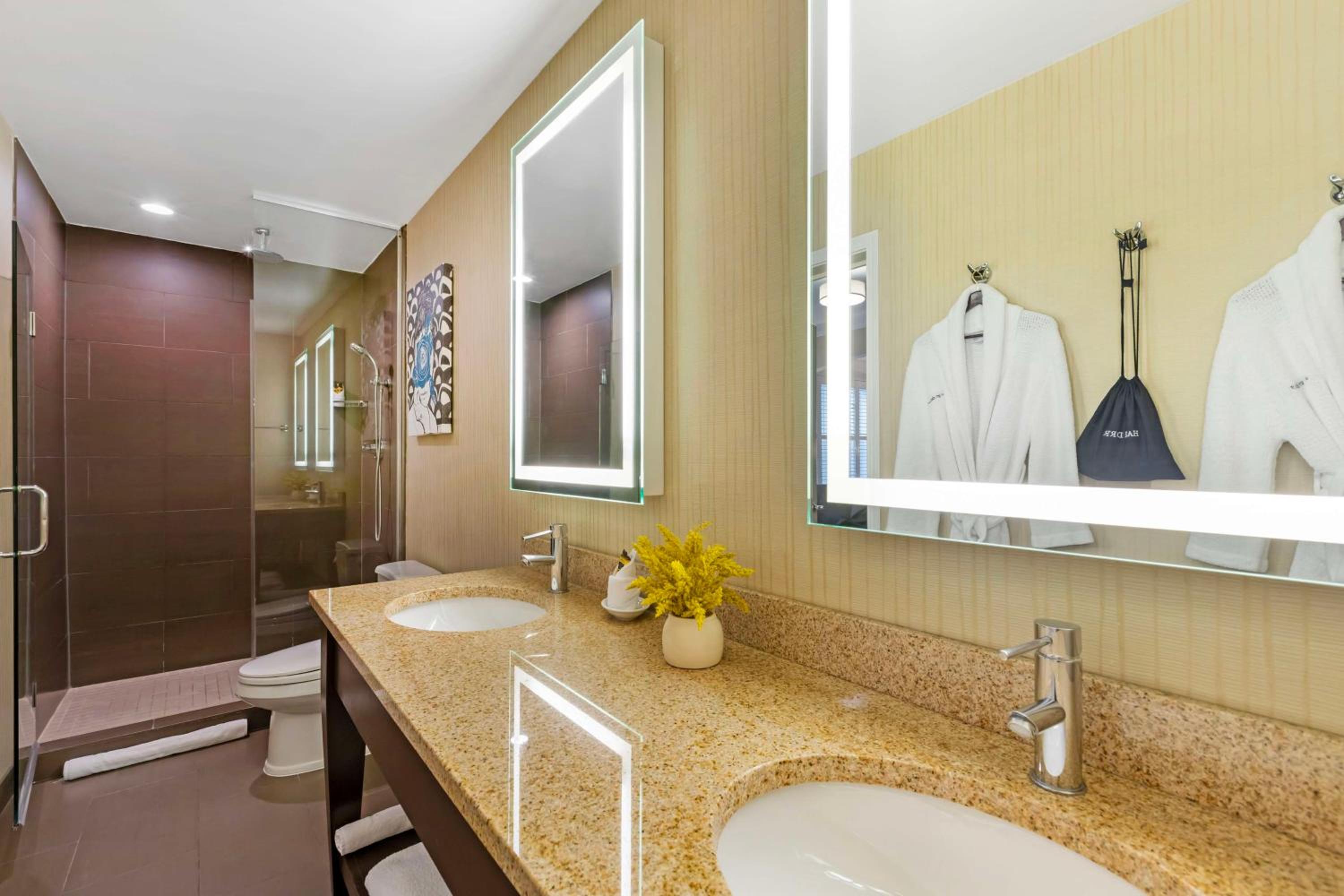 King Suite with Sofa Bed, Kitchenette and Living Area - Non-Smoking - Photo 4