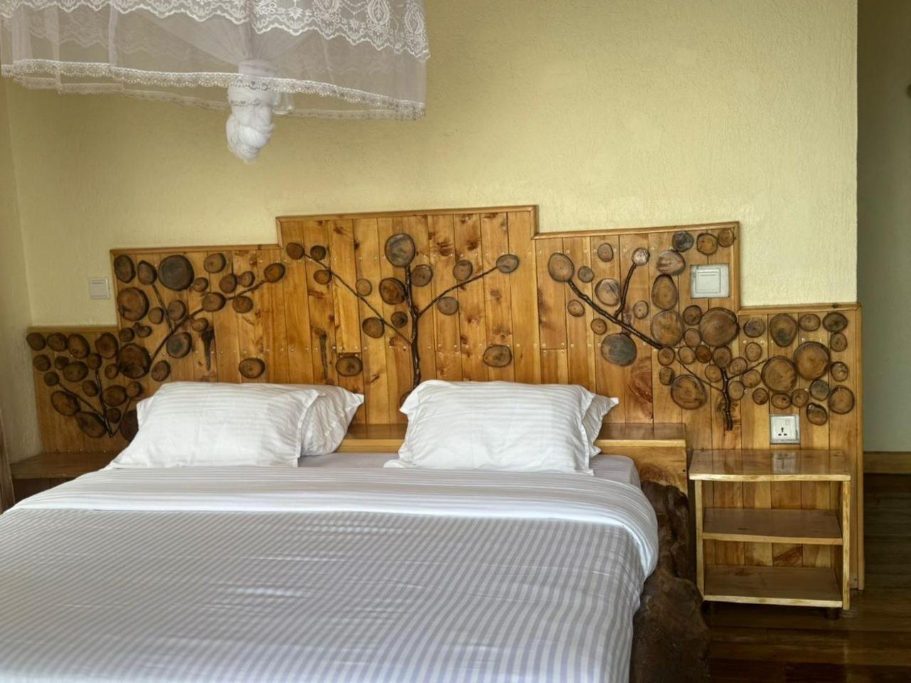 Deluxe Double or Twin Room with Mountain View photo 2
