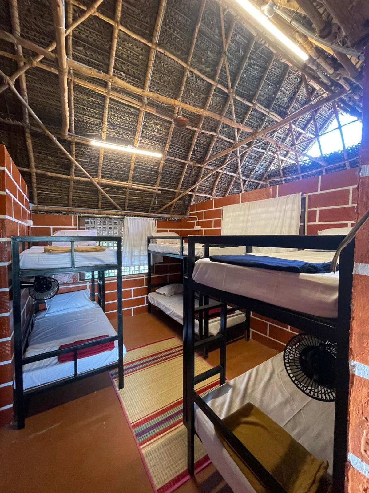 Bed In 6-Bed Female Dormitory Room photo 1