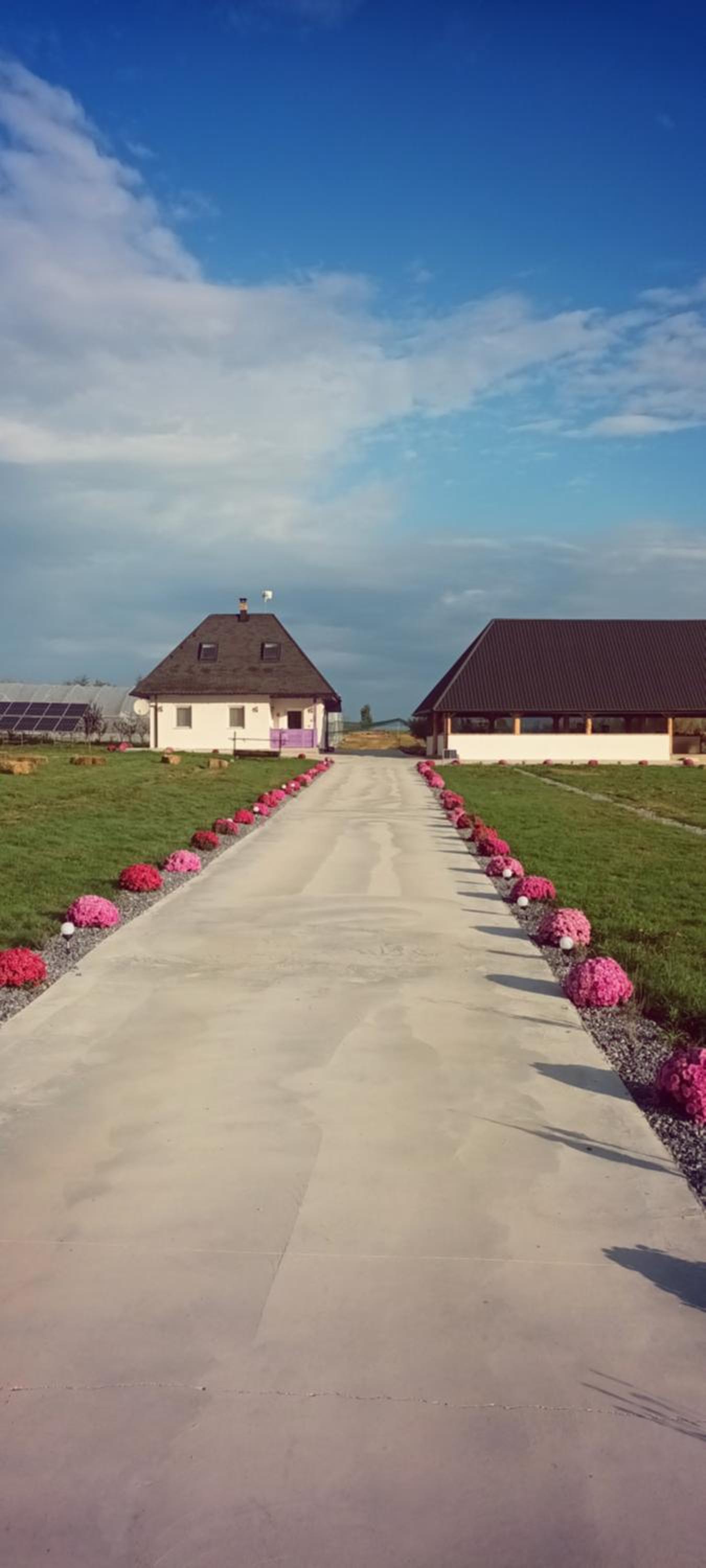 Four-Bedroom House photo 2