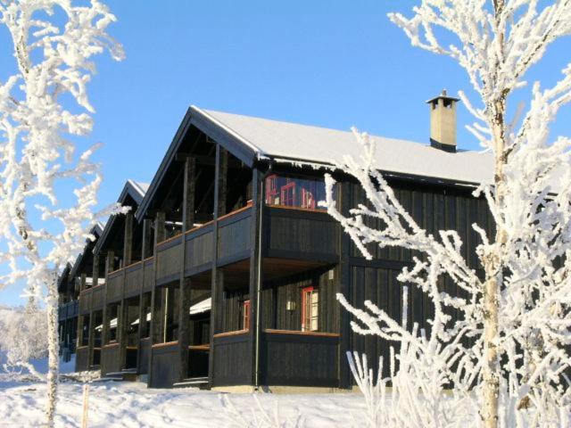 Four-Bedroom House photo 3