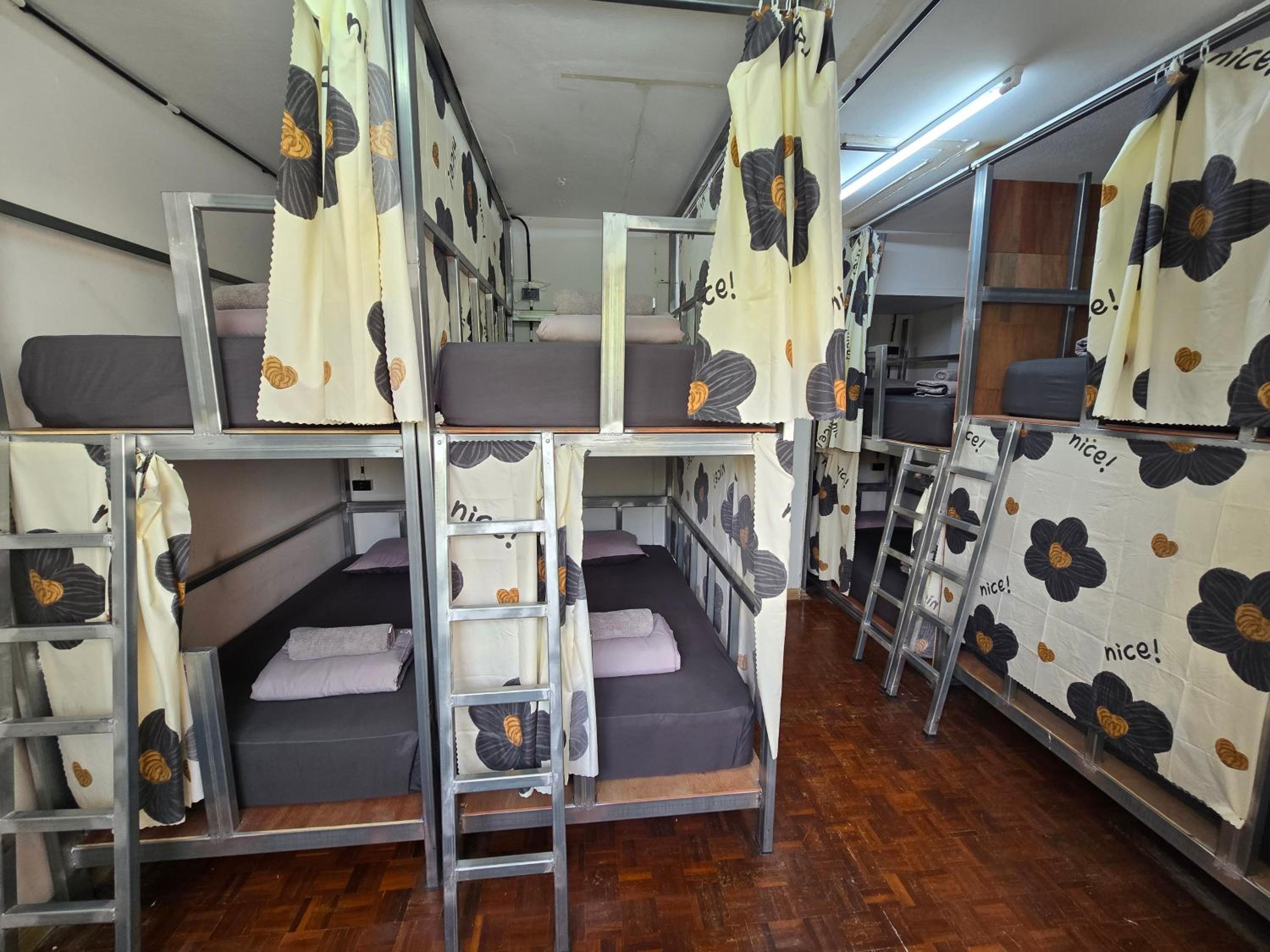 Single Bed in Mixed Dormitory Room photo 1