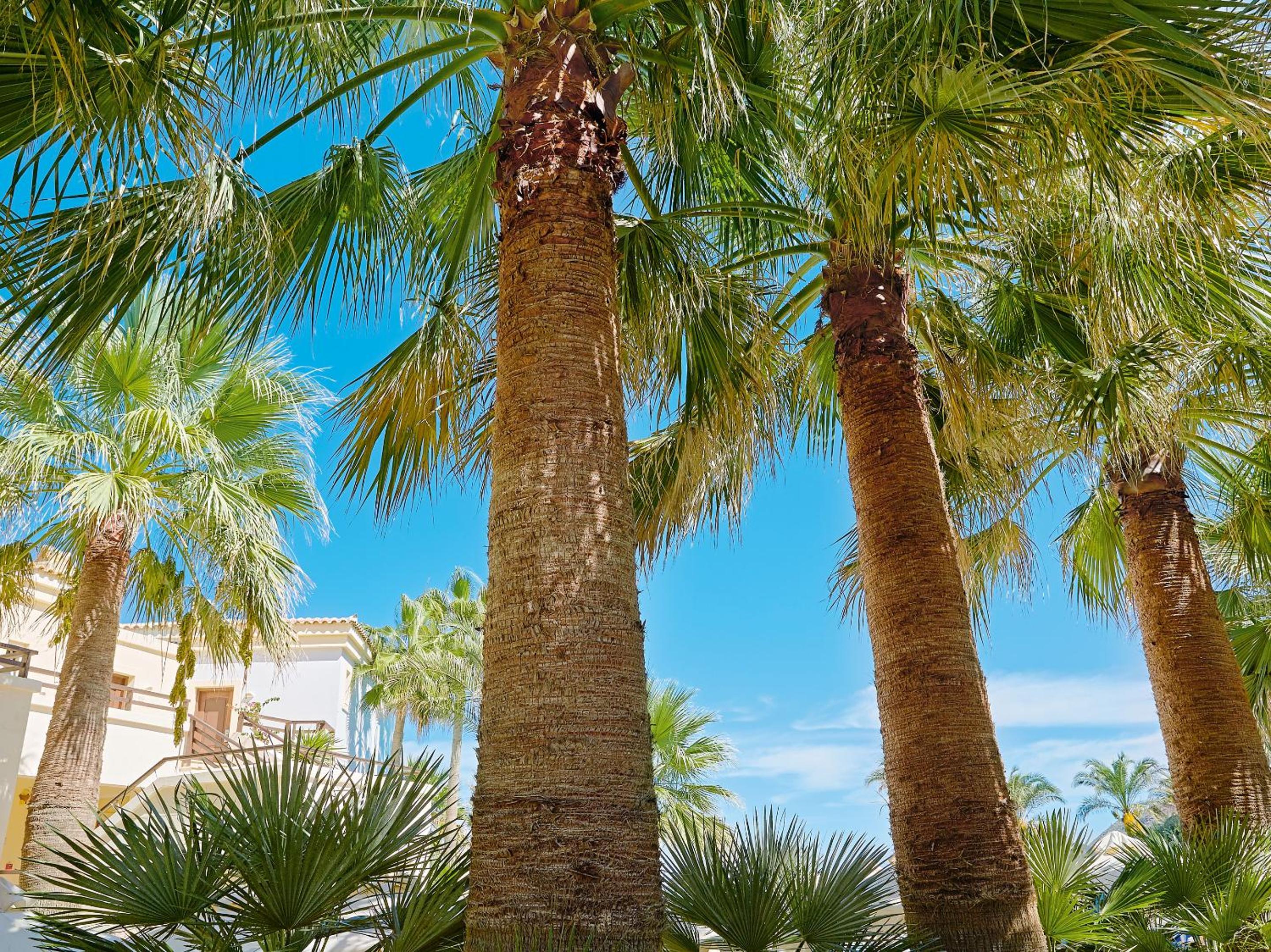 Casa Marina Family Apartment, Pool \ Garden View - Photo 5