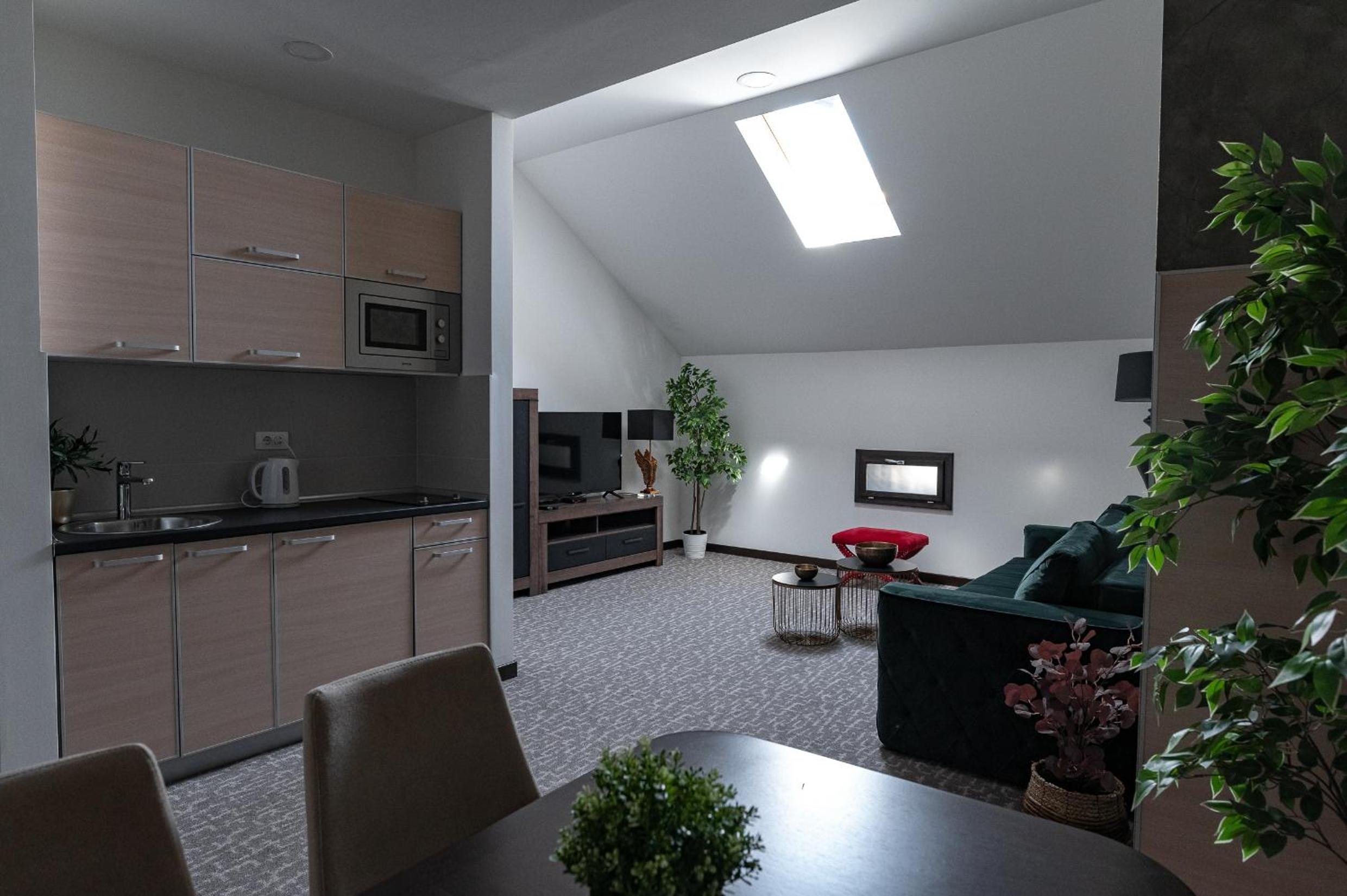Deluxe One-Bedroom Apartment photo 3