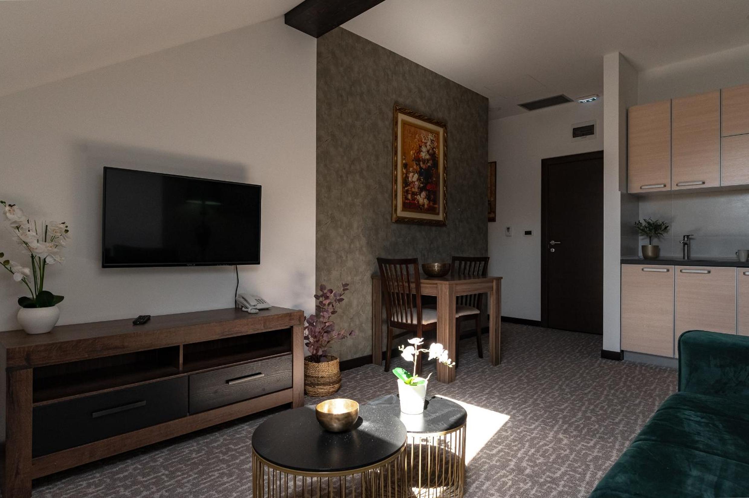 Studio Apartment photo 2