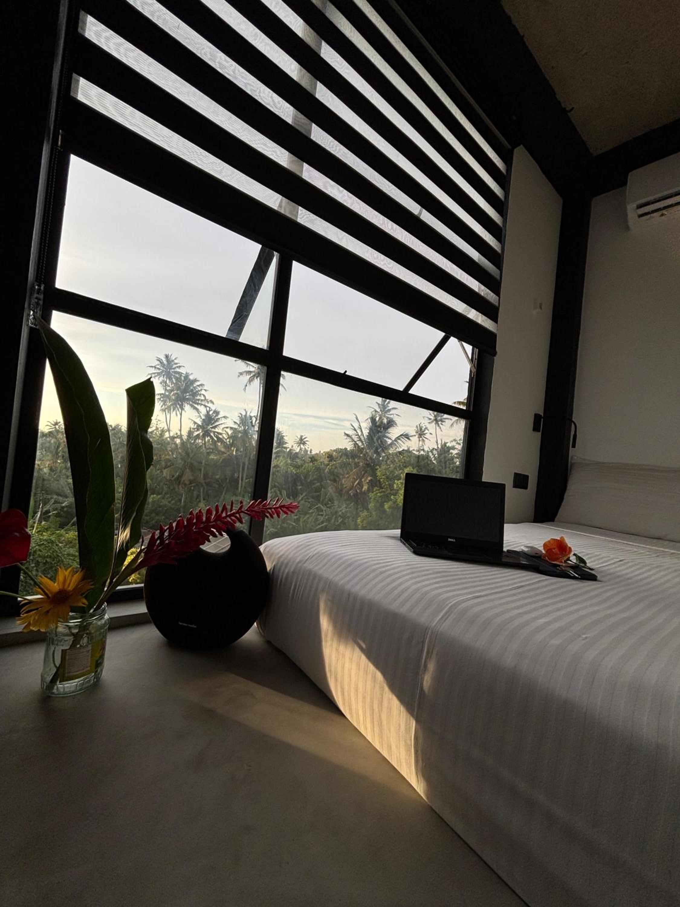 Budget Single Room