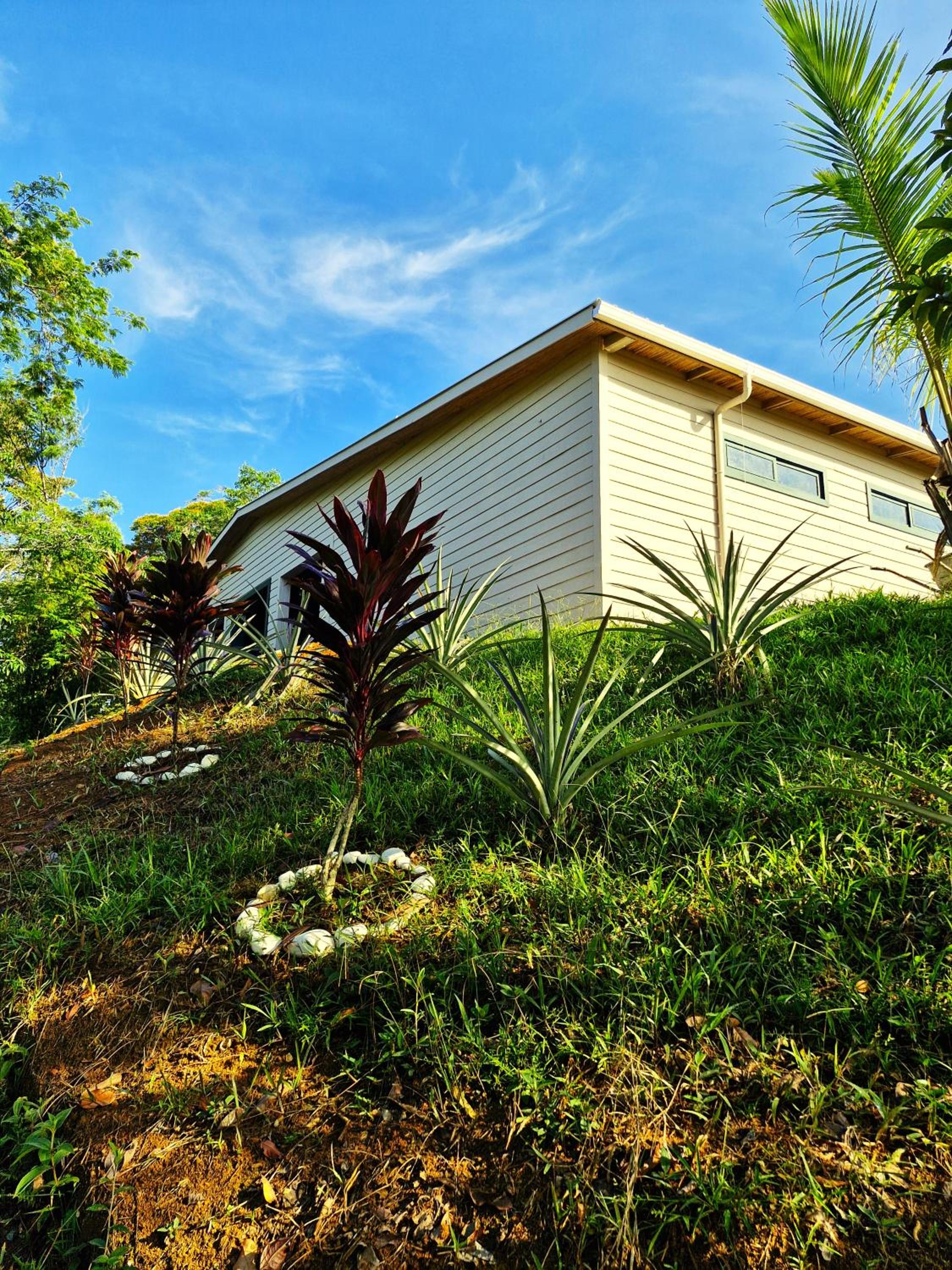 Villa with Sea View photo 2