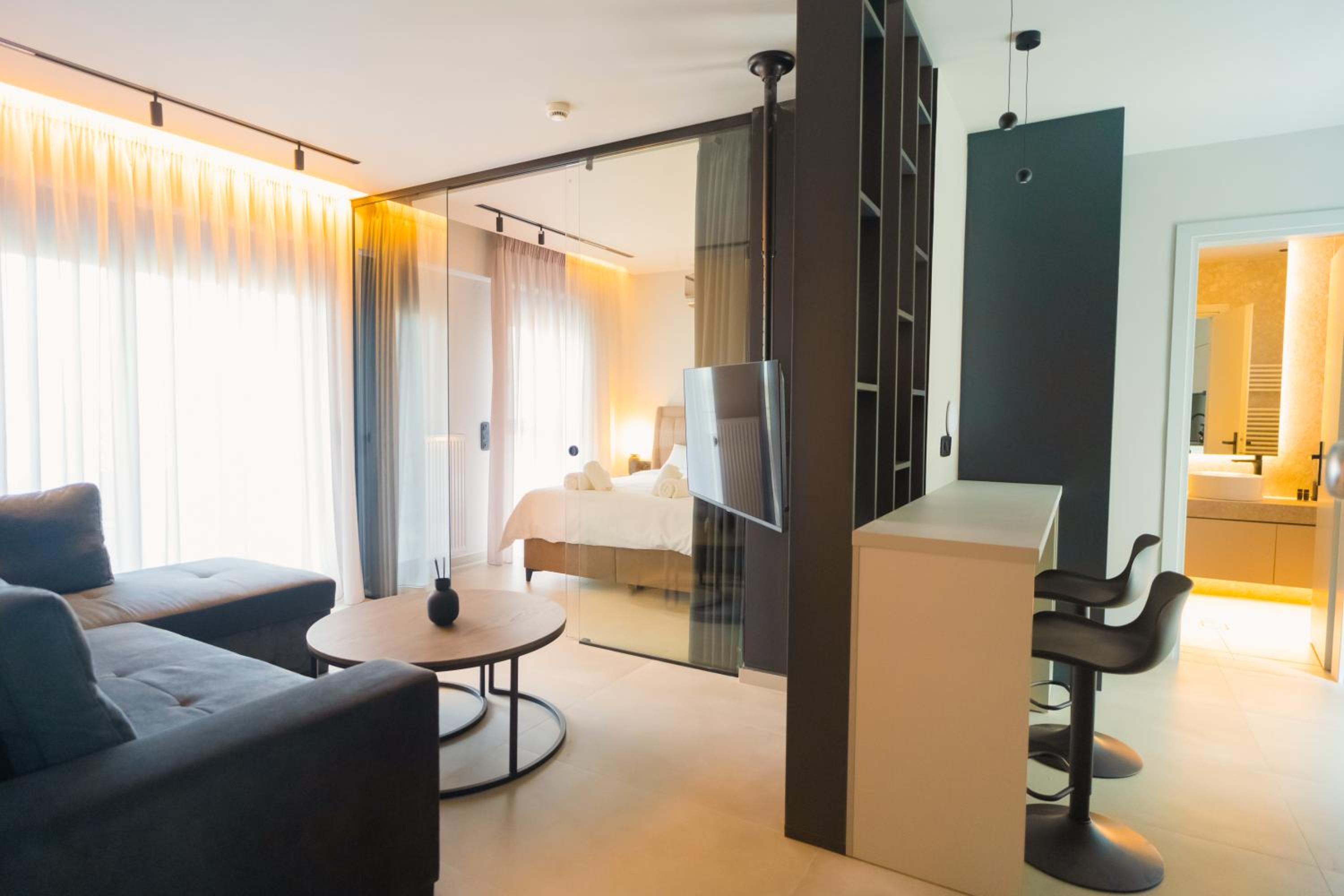 Deluxe One-Bedroom Apartment