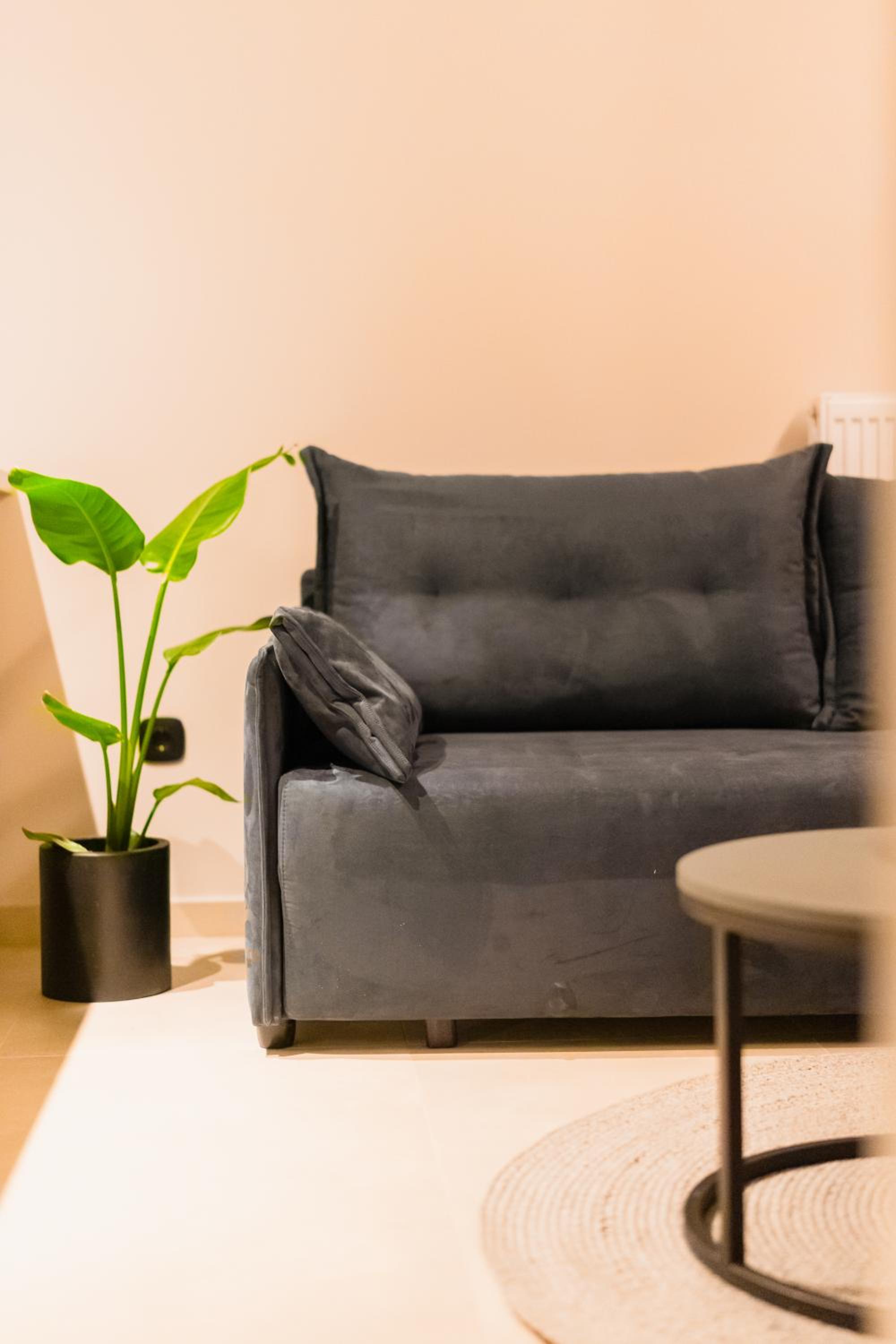 Deluxe One-Bedroom Apartment