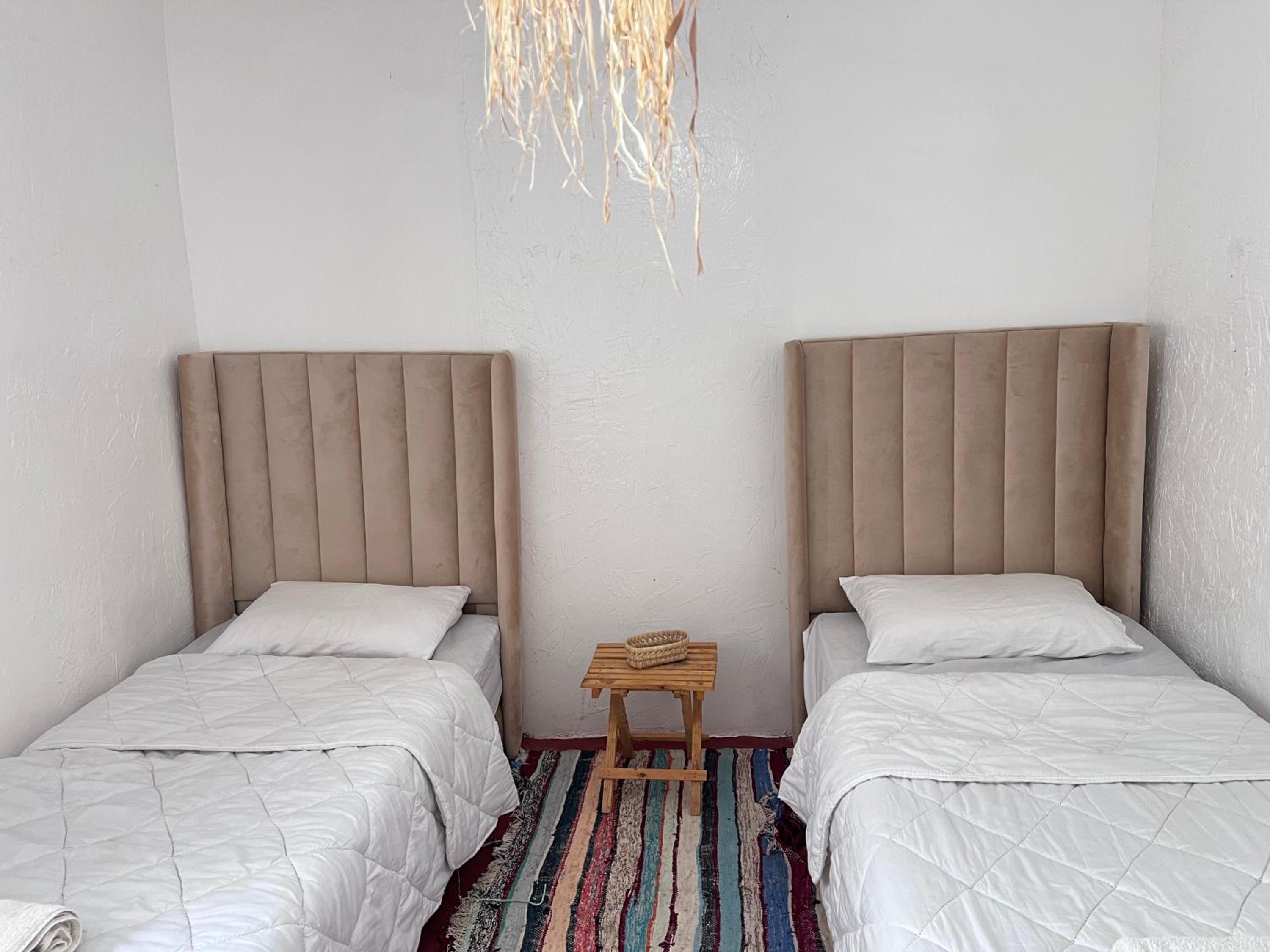 Twin Room photo 3