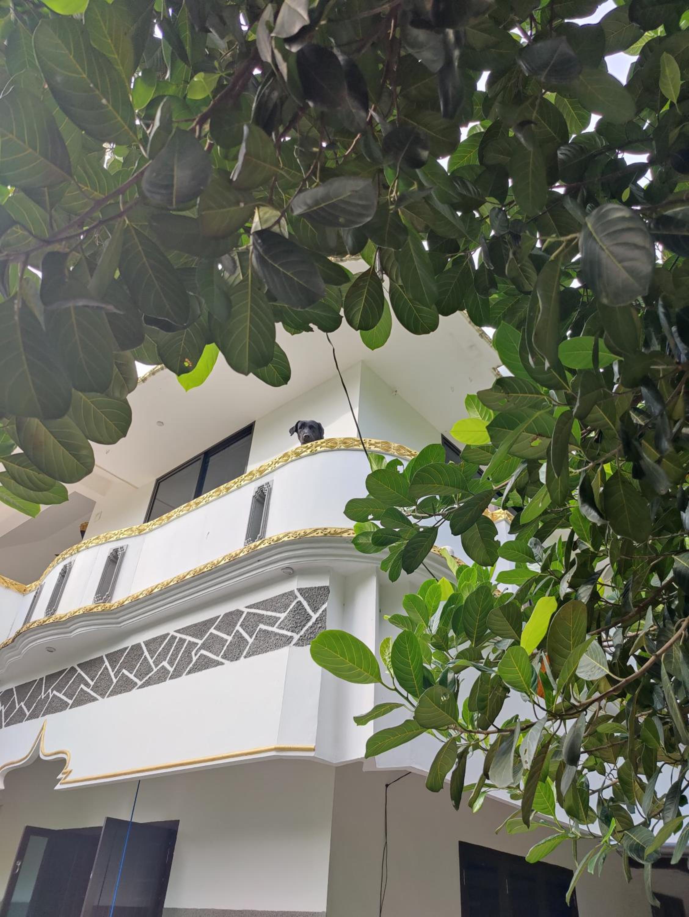 Villa With Garden View photo 3