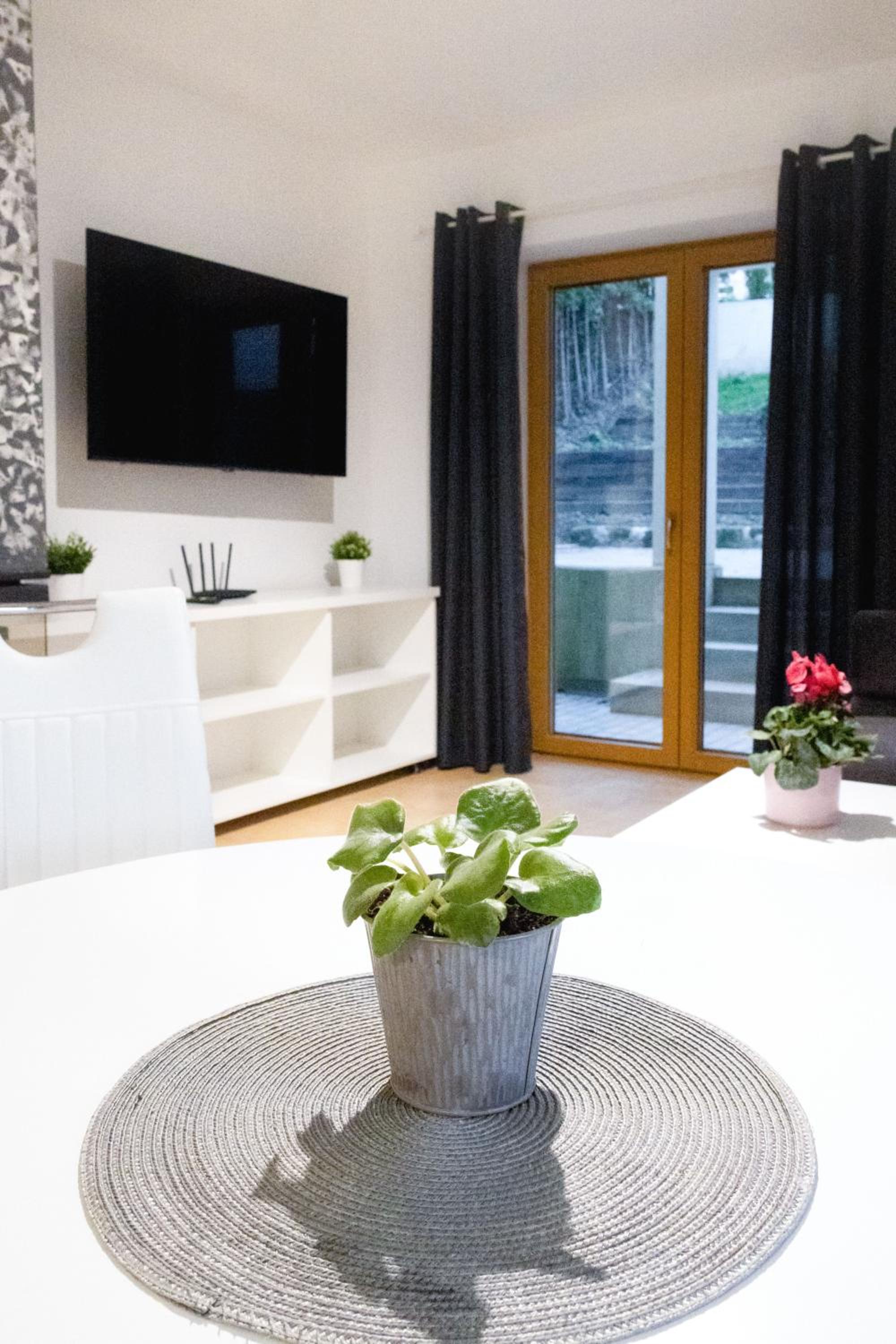 One-Bedroom Apartment with Terrace photo 3