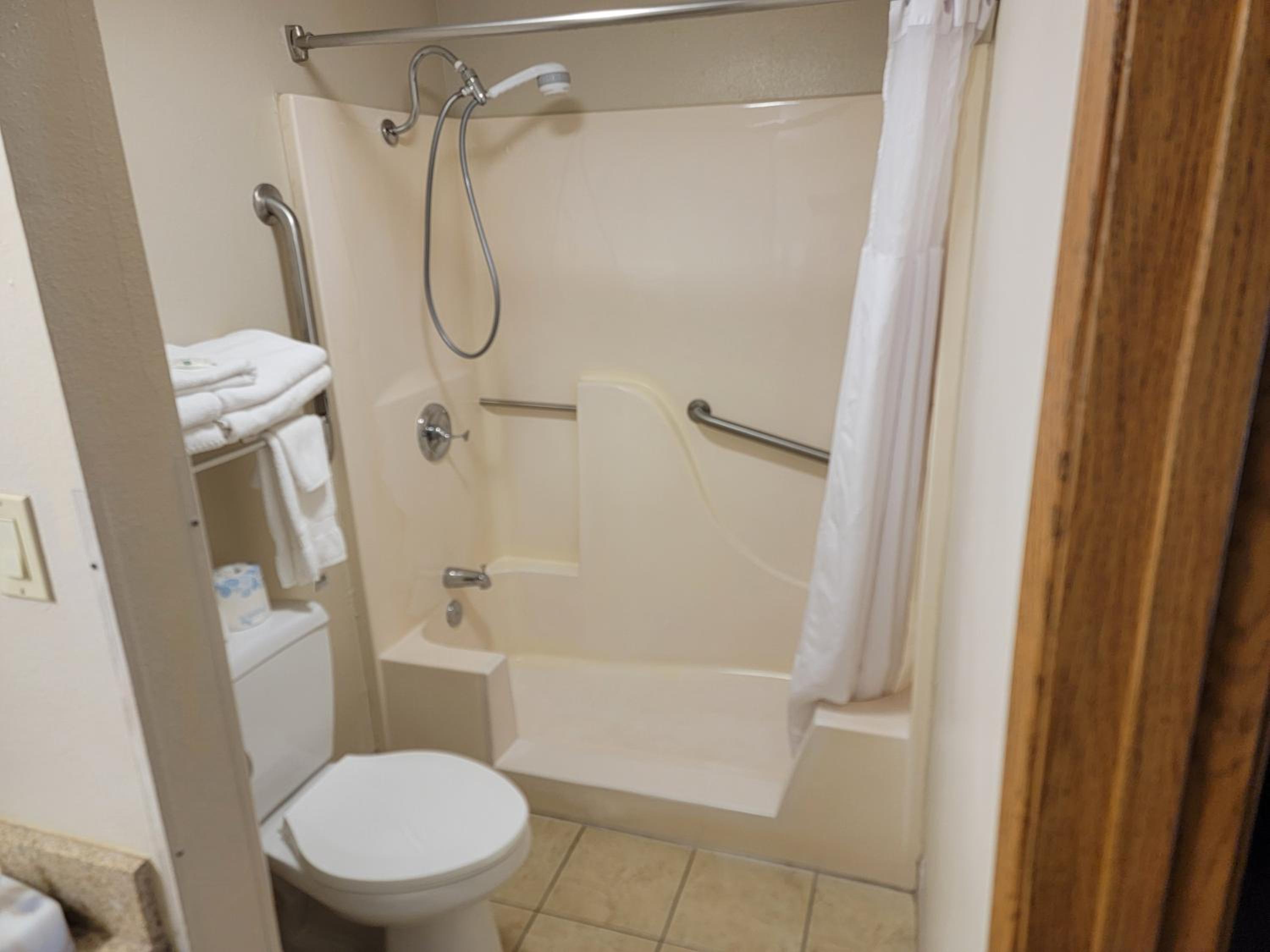 King Room with Roll-In Shower - Accessible/Non-Smoking - Photo 2