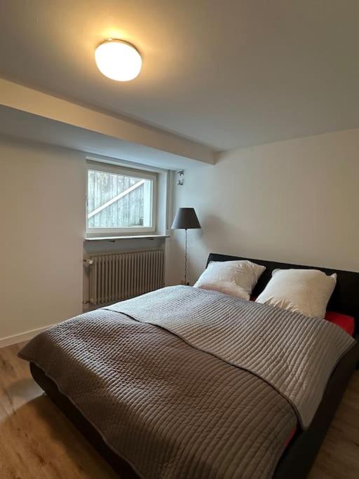One-Bedroom Apartment photo 3