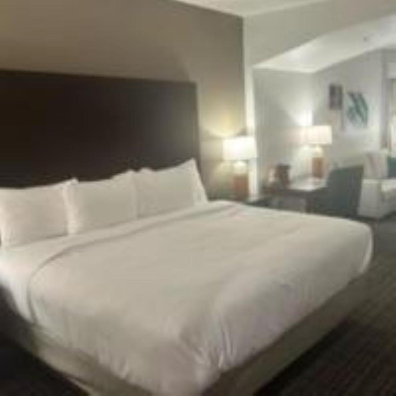 1 King Bed, Nonsmoking - Photo 1