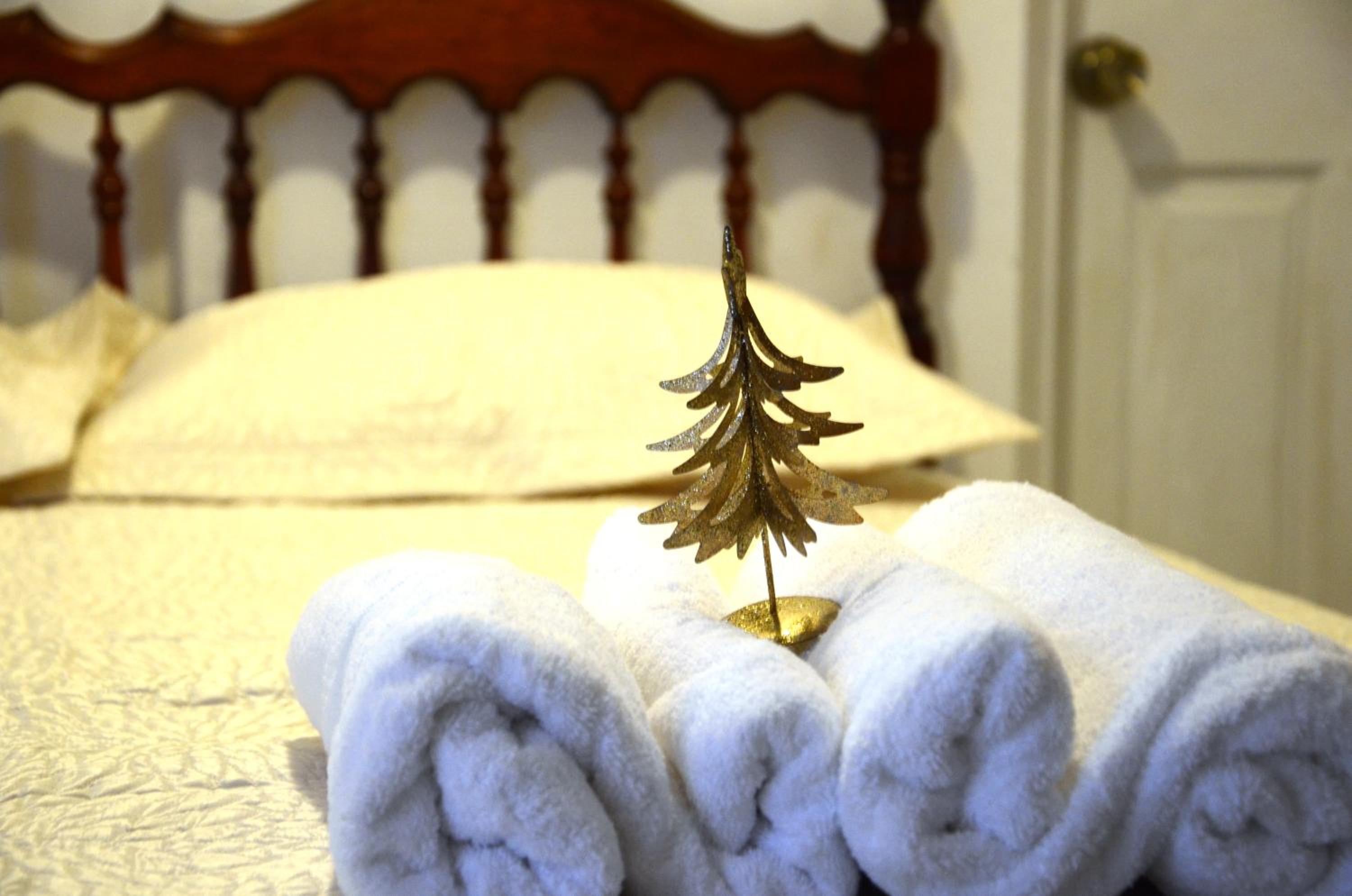 Twin Room photo 3