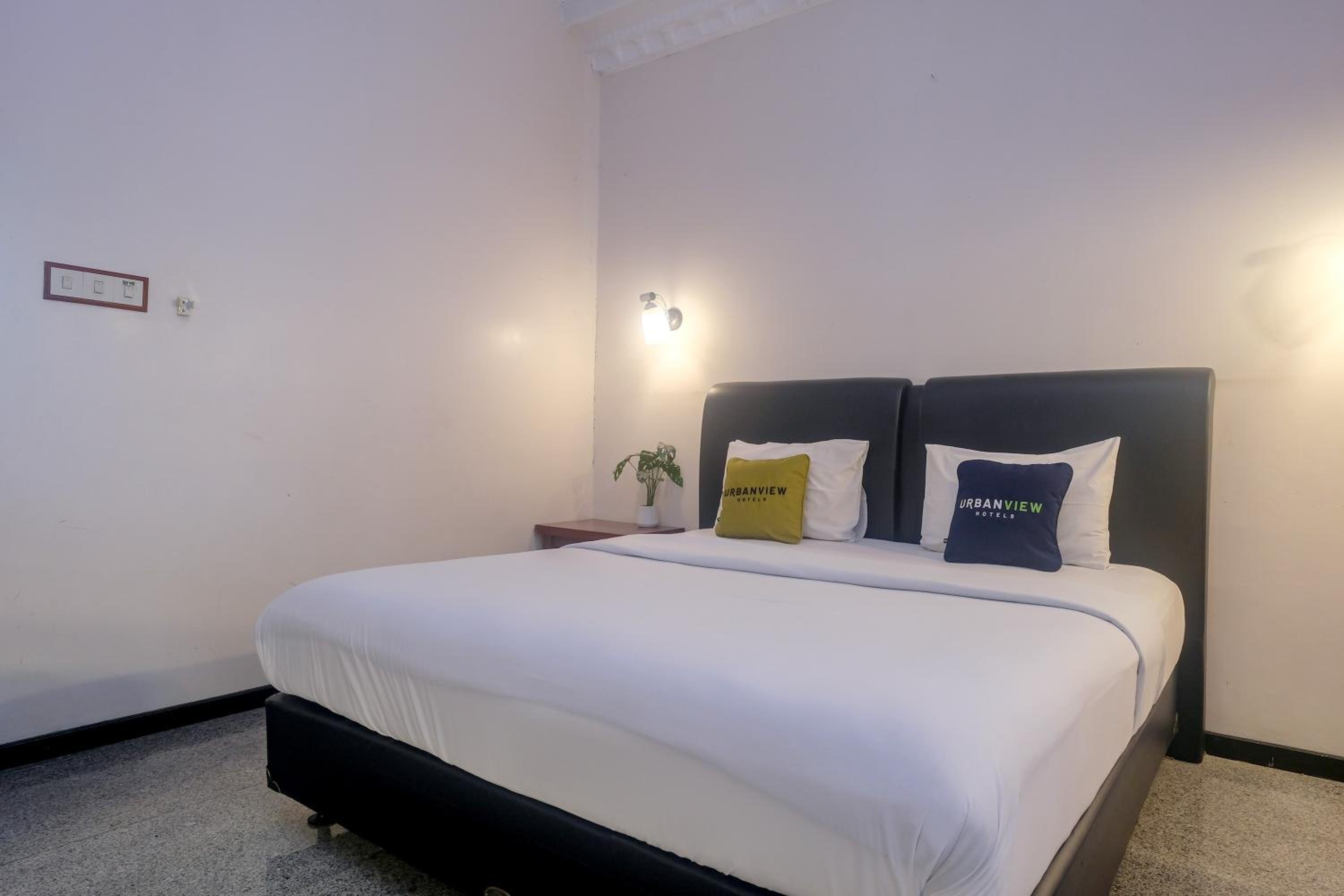 Suite - Photo 12