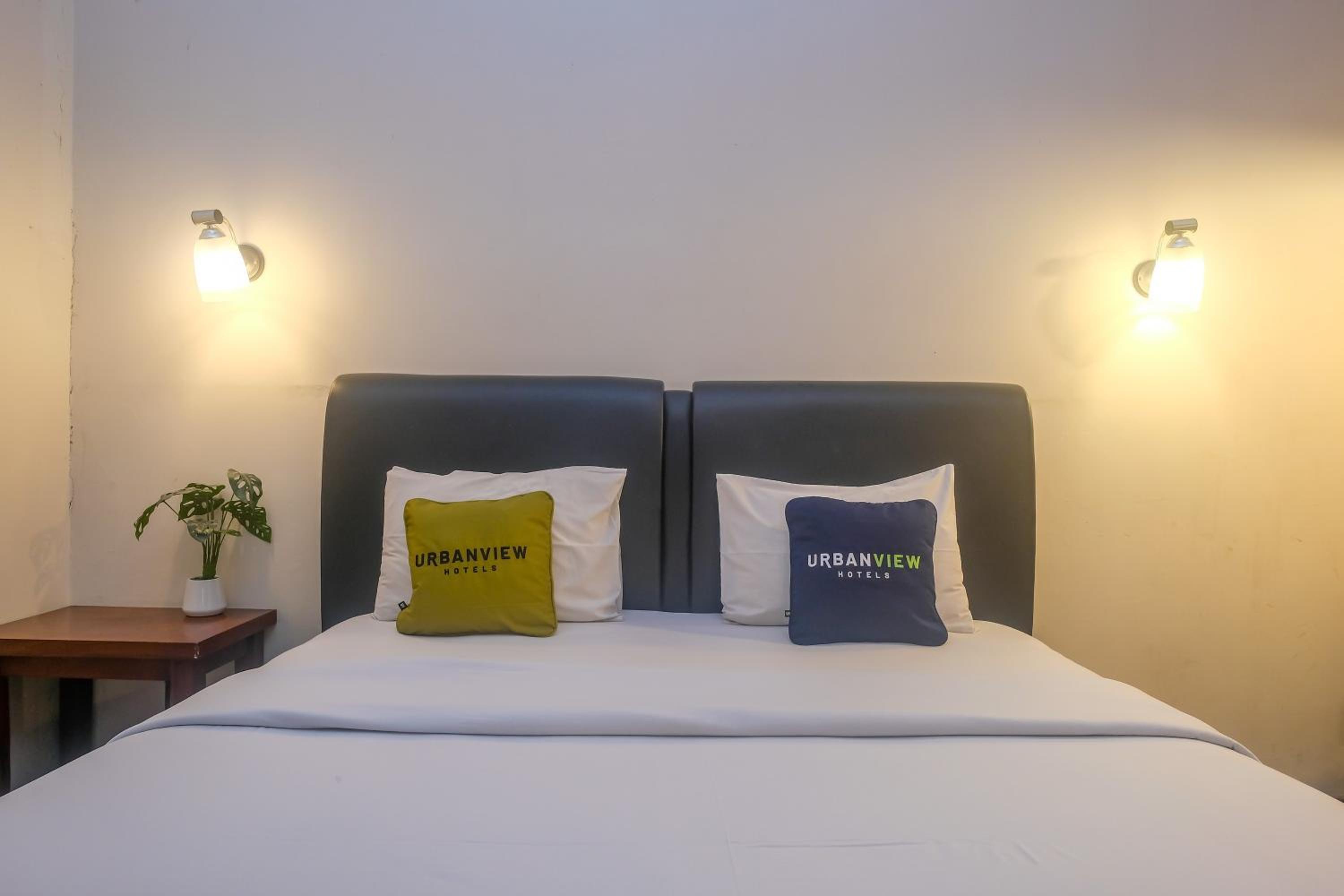 Suite - Photo 11