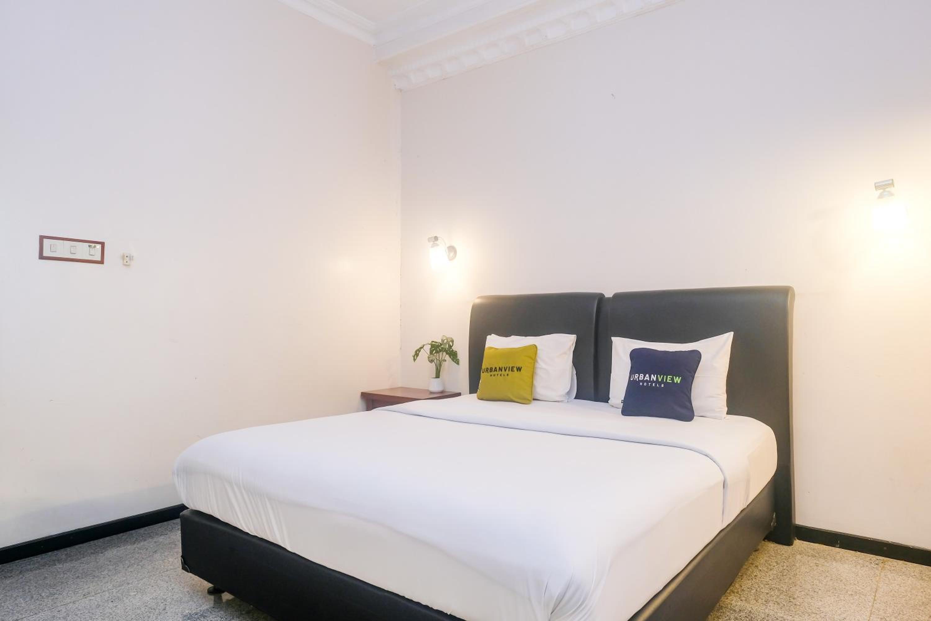 Suite - Photo 9