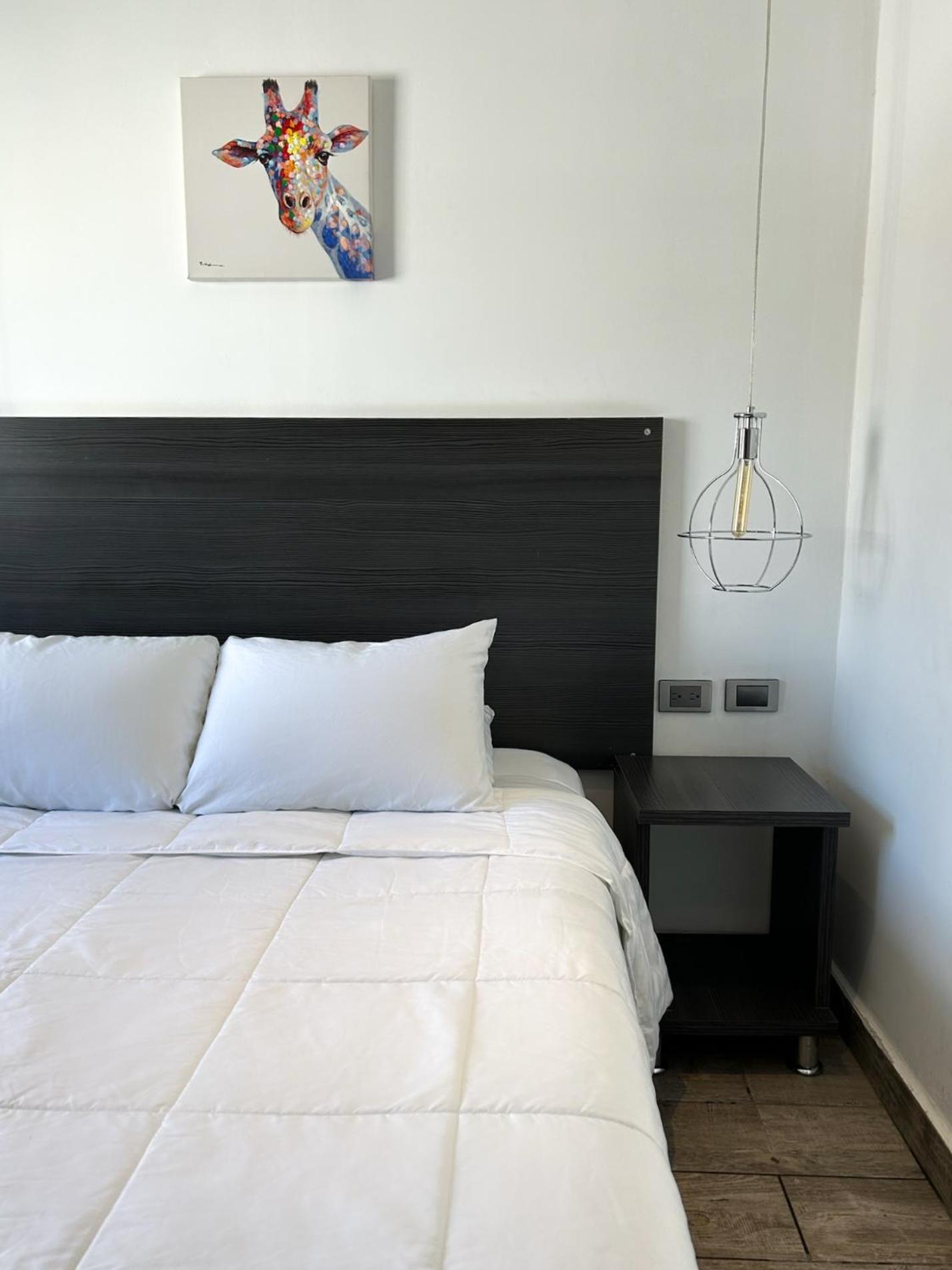 Double Room - Photo 28