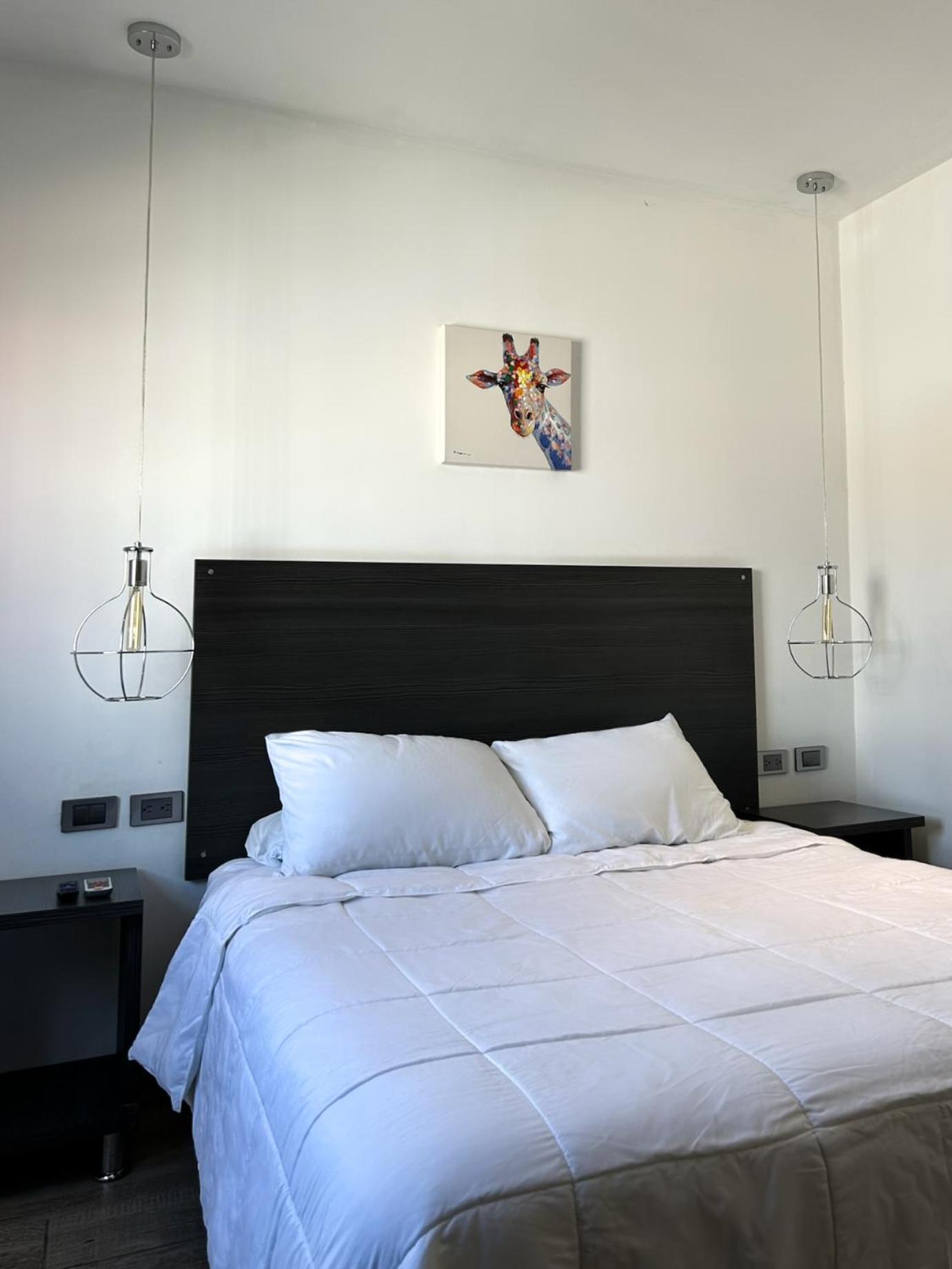 Double Room - Photo 9