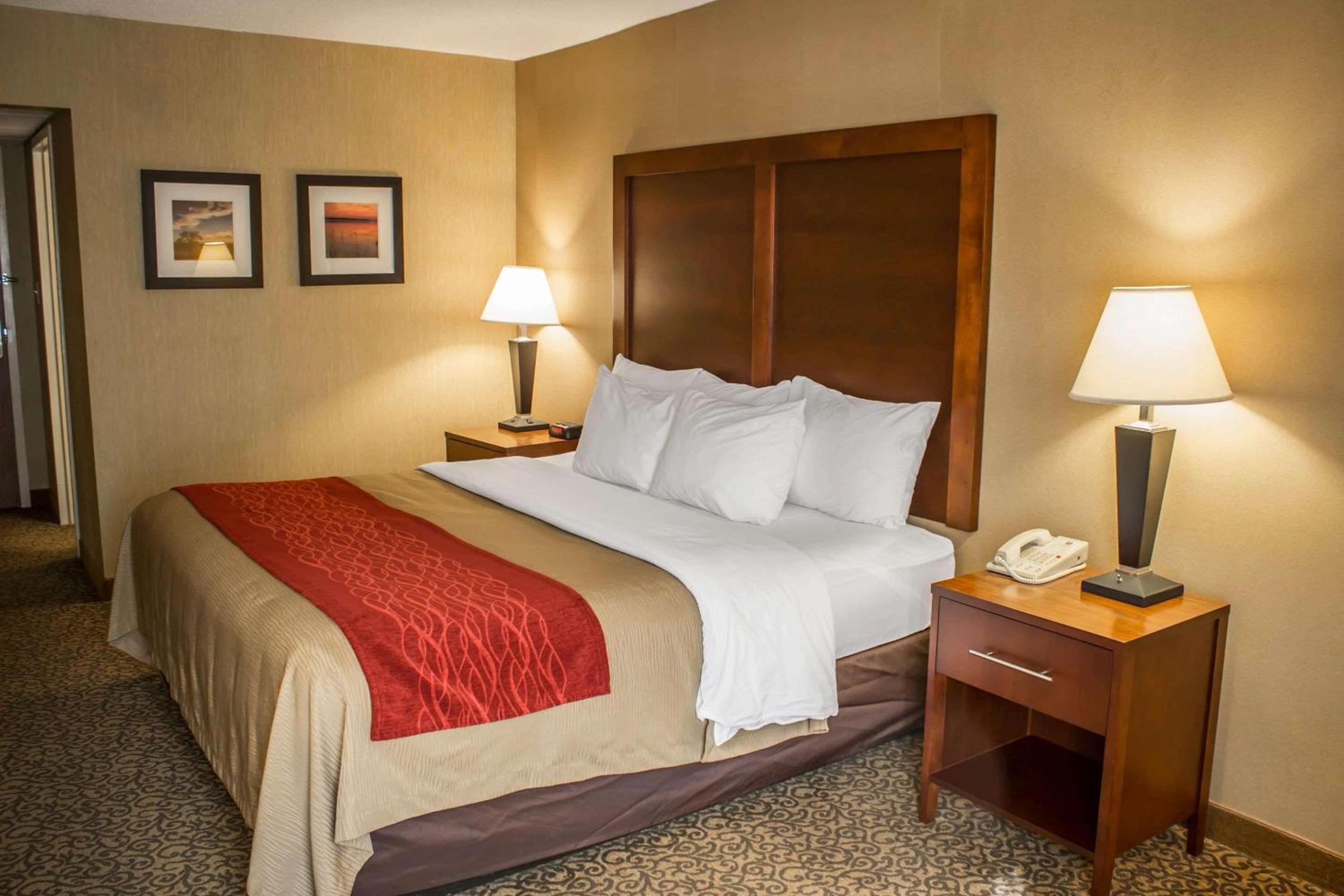 King Room - Photo 1