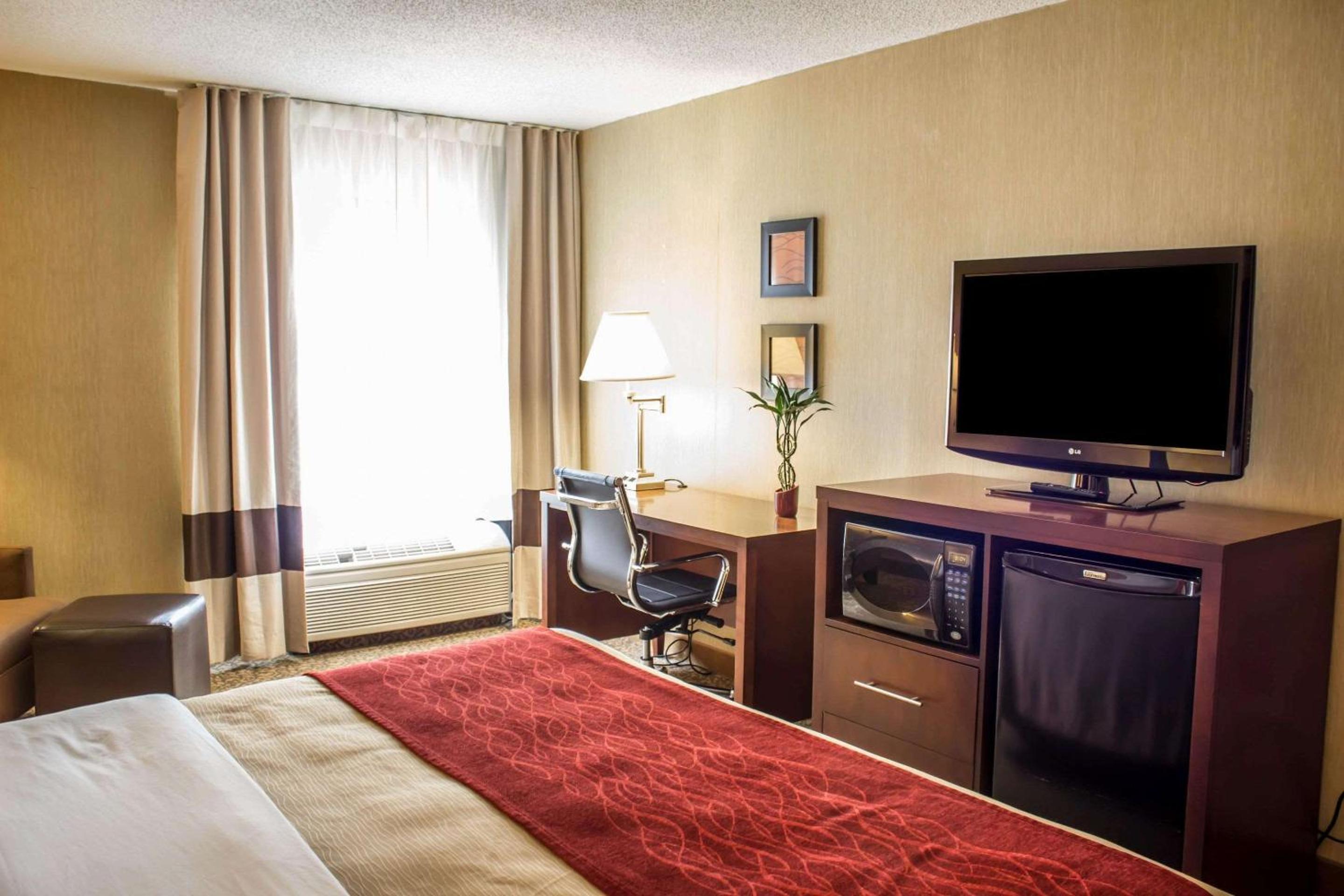 King Room - Photo 5