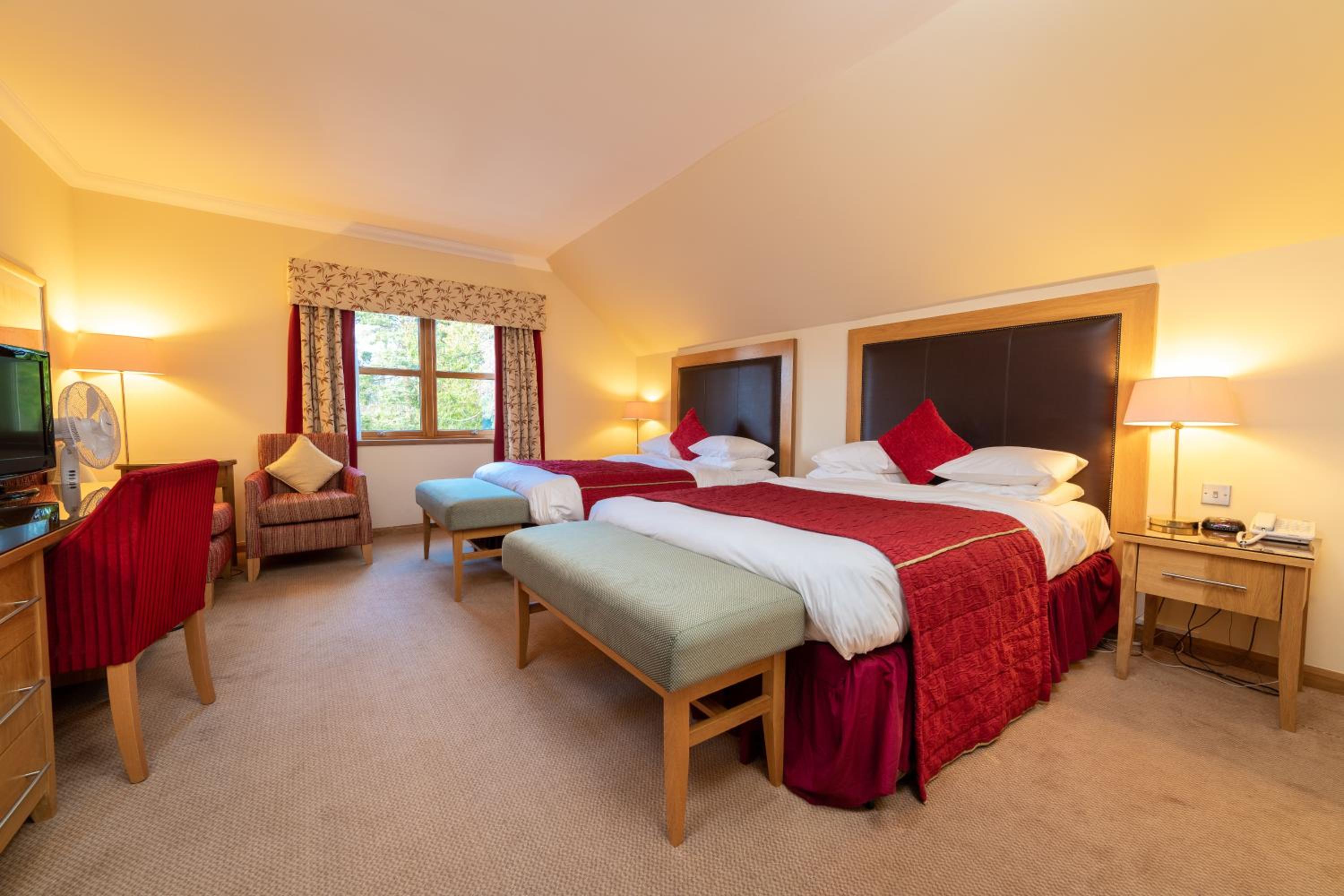 Deluxe King Room